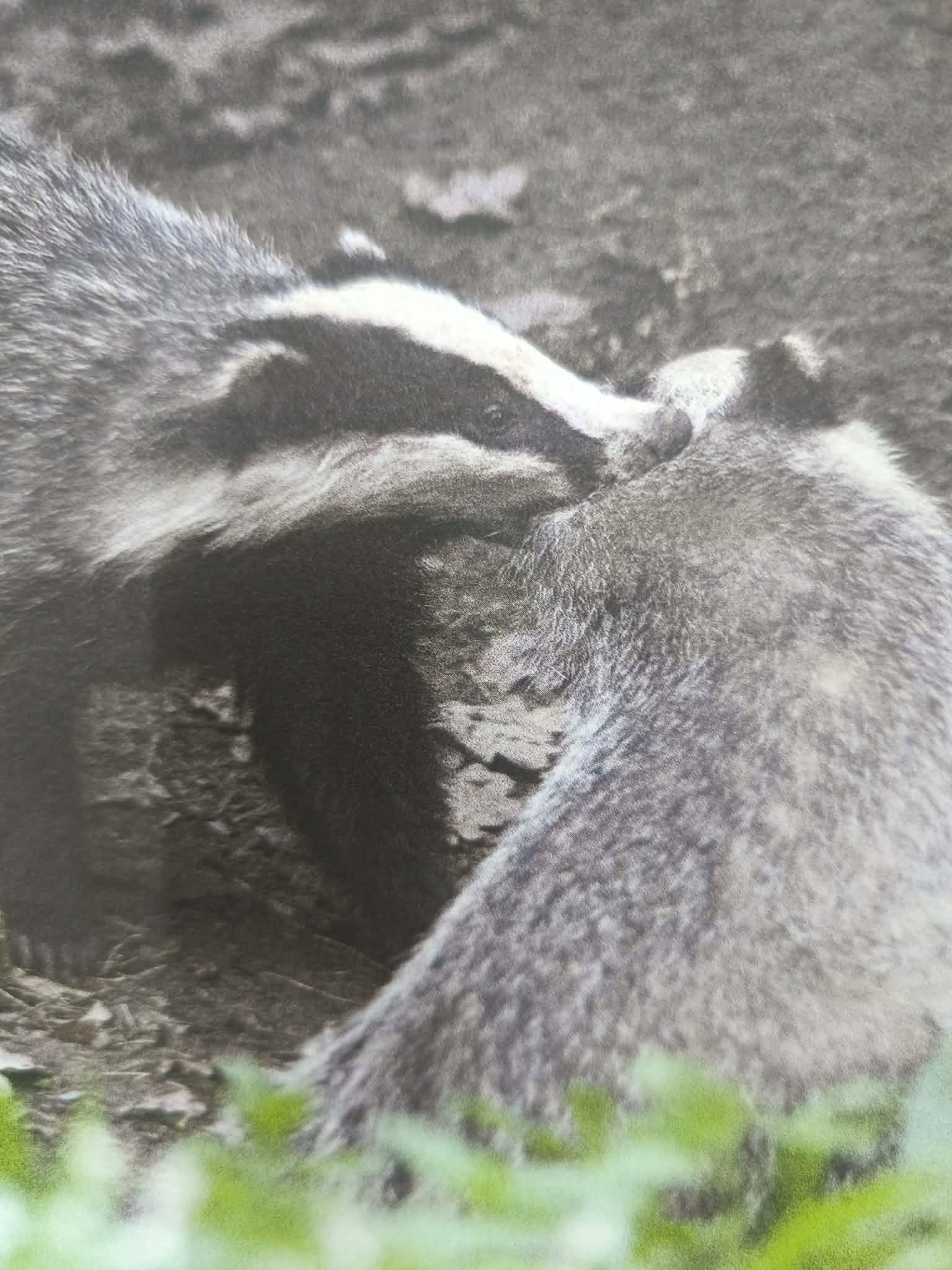Sztuka fotografowania przyrody, Paweł Fabijański