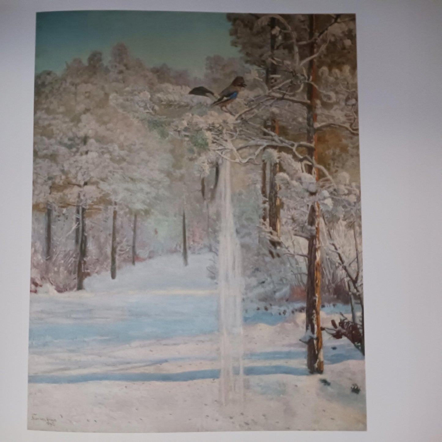 236d4ccb7b1dc7ae213dcd8b62ae2e38