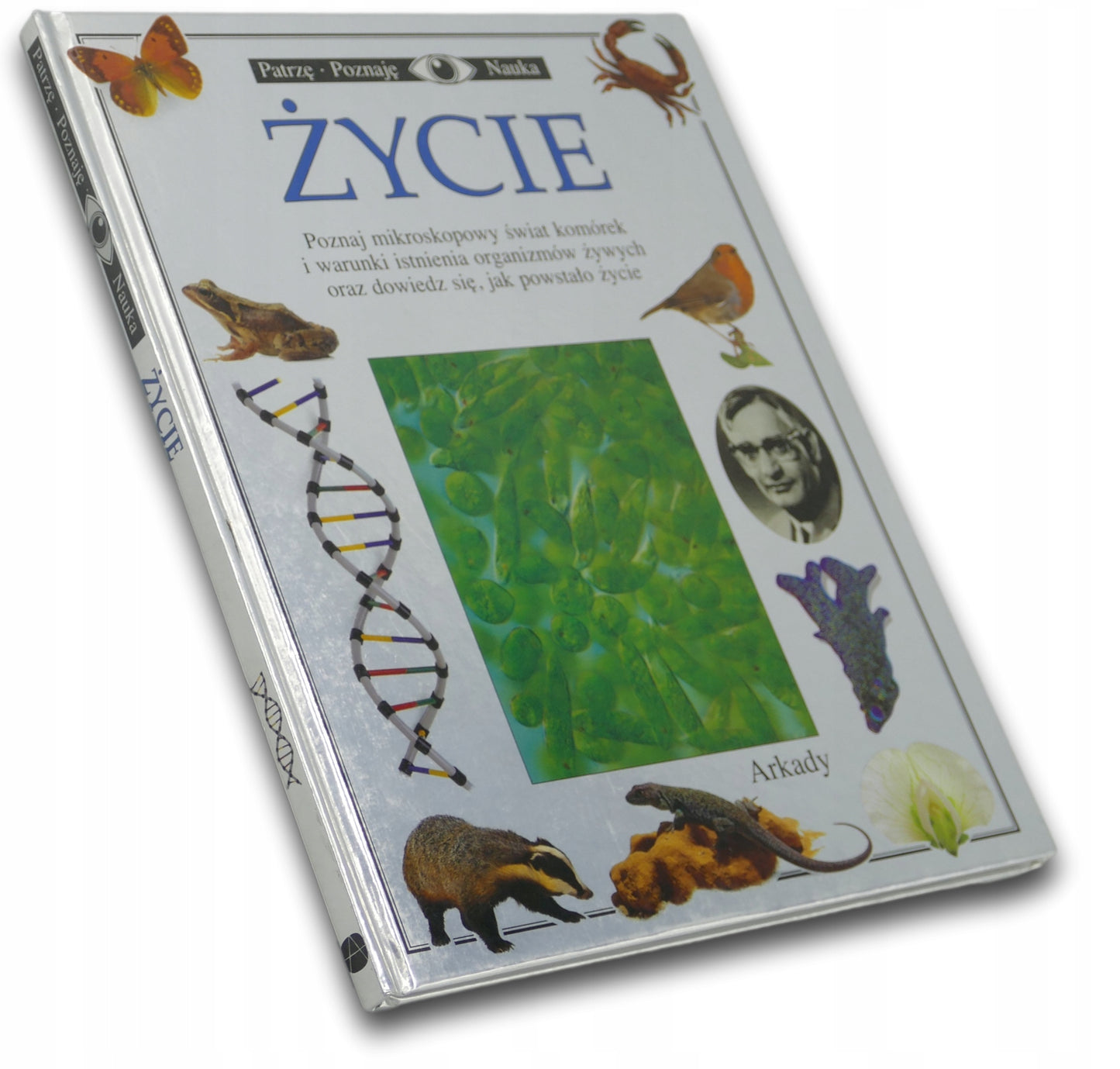 a5e33016e40c3ed36532c353b3969807