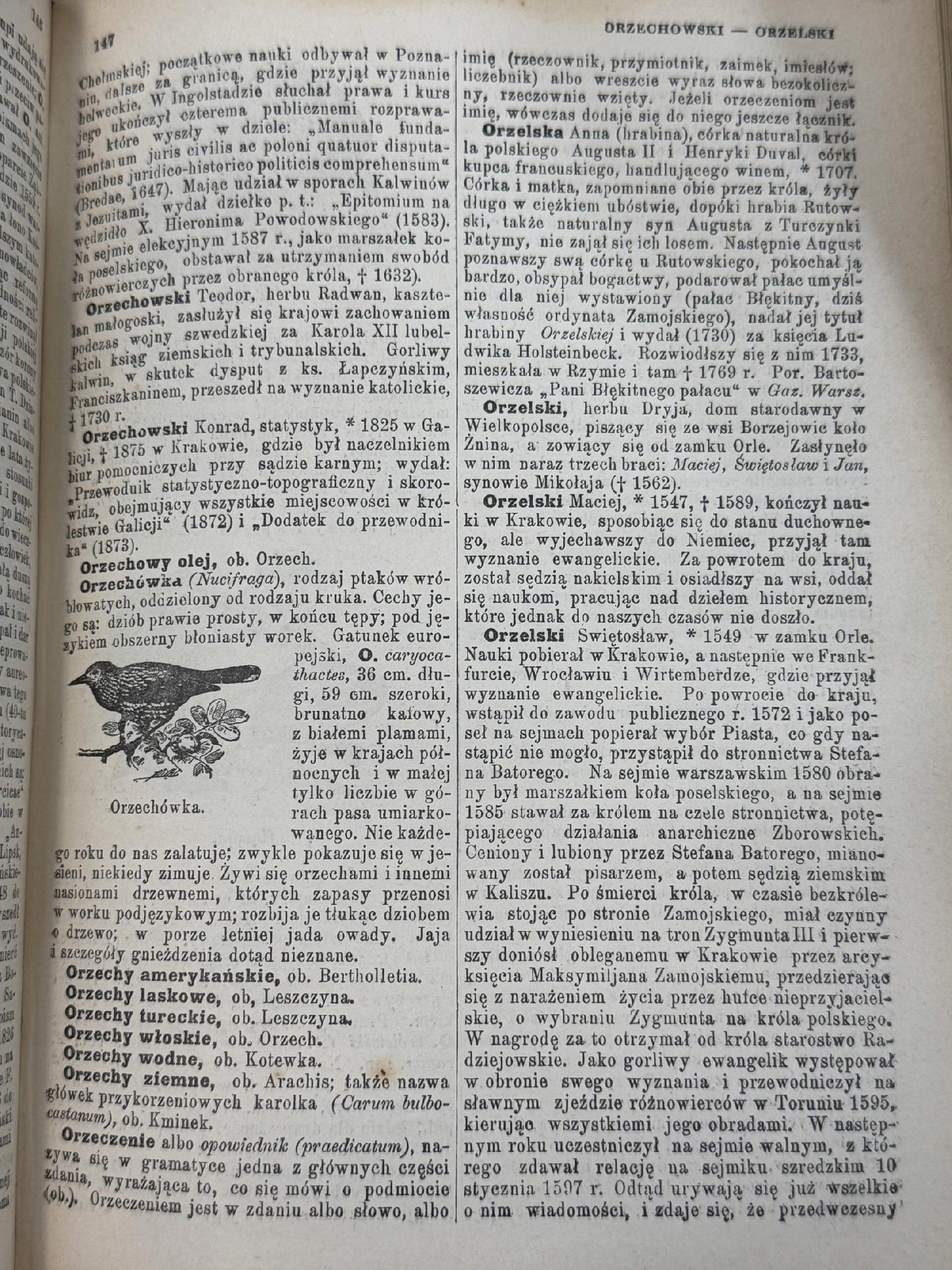 Encyklopedja powszechna S. Orgelbranda Tom XI Od litery O do Polonus