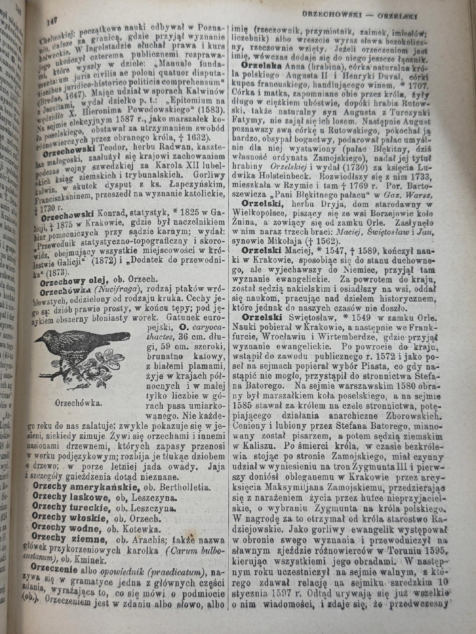 Encyklopedja powszechna S. Orgelbranda Tom XI Od litery O do Polonus