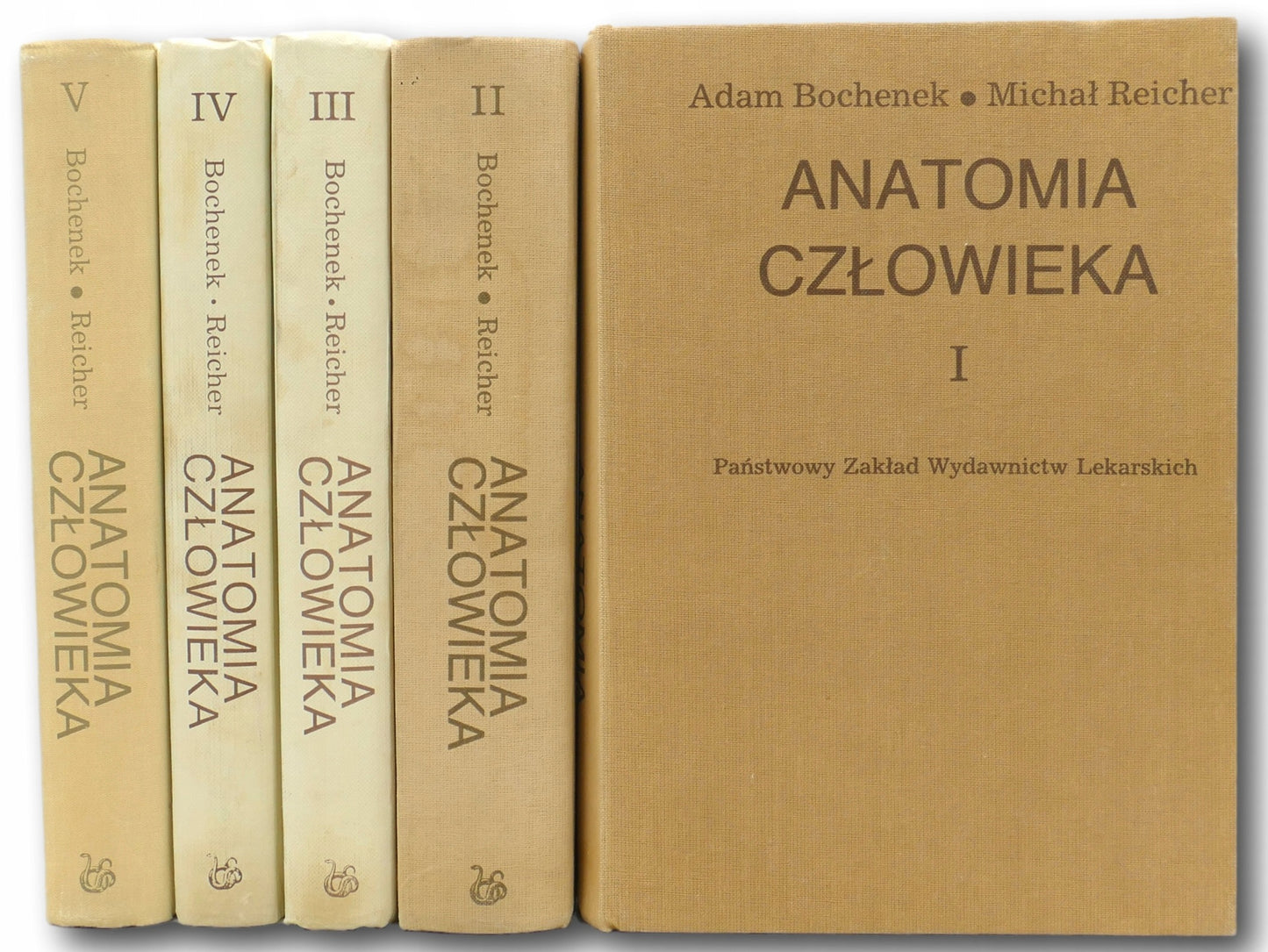 Komplet 5 tomów Anatomia człowieka Adam Bochenek Michał Reicher