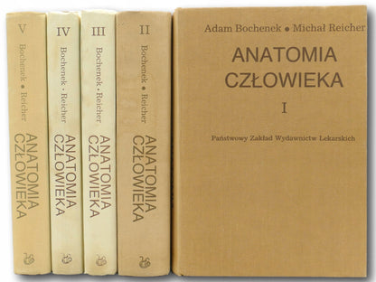 Komplet 5 tomów Anatomia człowieka Adam Bochenek Michał Reicher