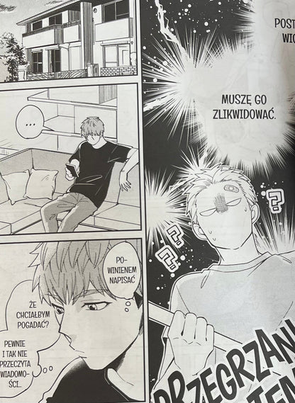 Zestaw 3 książek Mitsuru Si Megumi i Tsugumi tom [2,3,4]