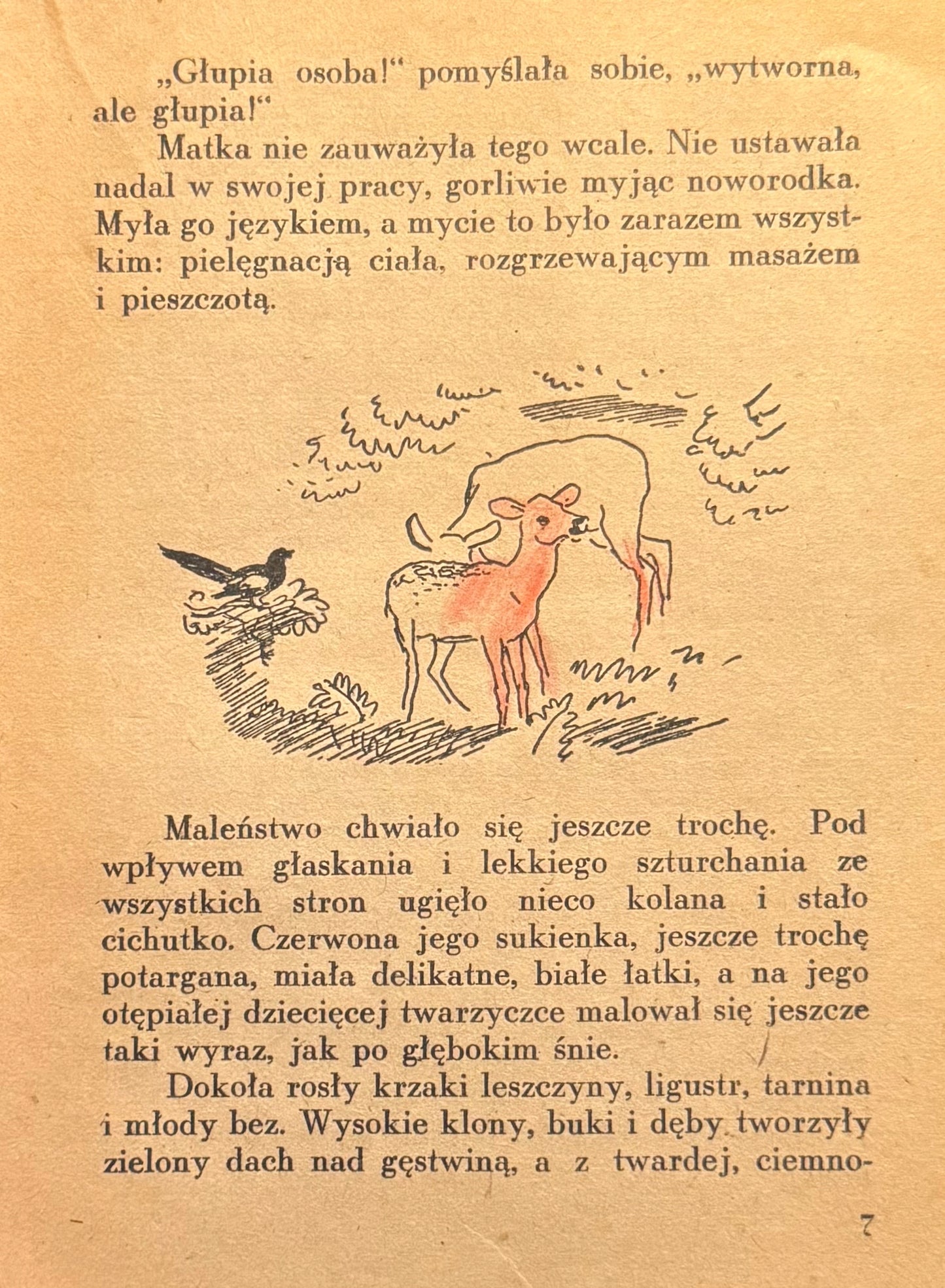 Bambi Opowieść leśna Feliks Salten [1946] [il. Charlie]