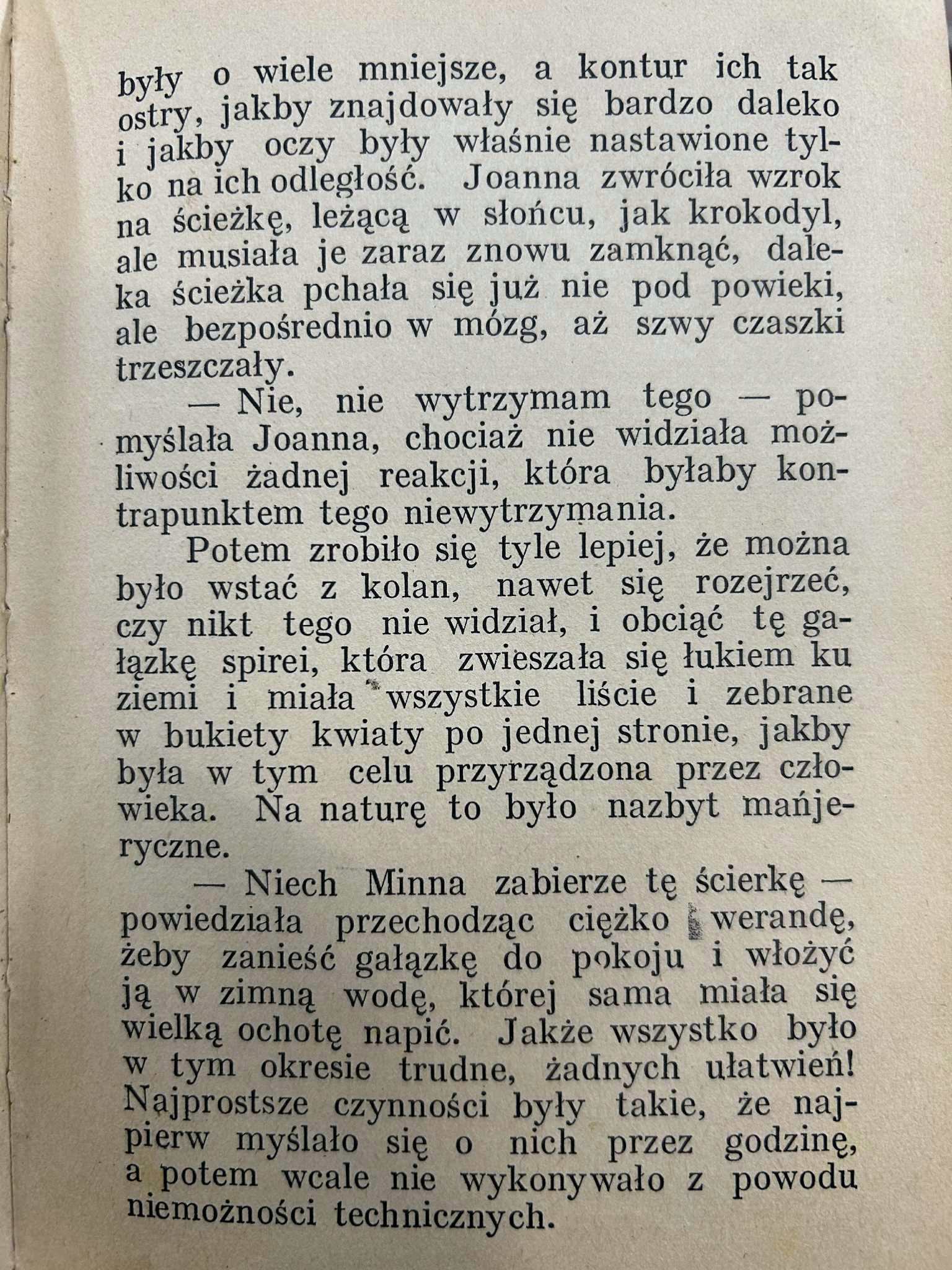 Swastyka i dziecko - Wanda Melcer [1934 r.]