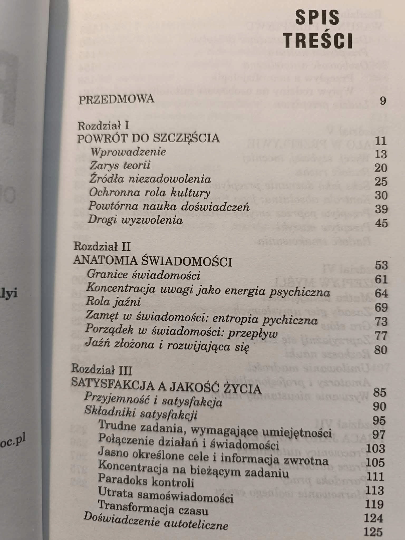 Przepływ Mihaly Csikszentmihalyi