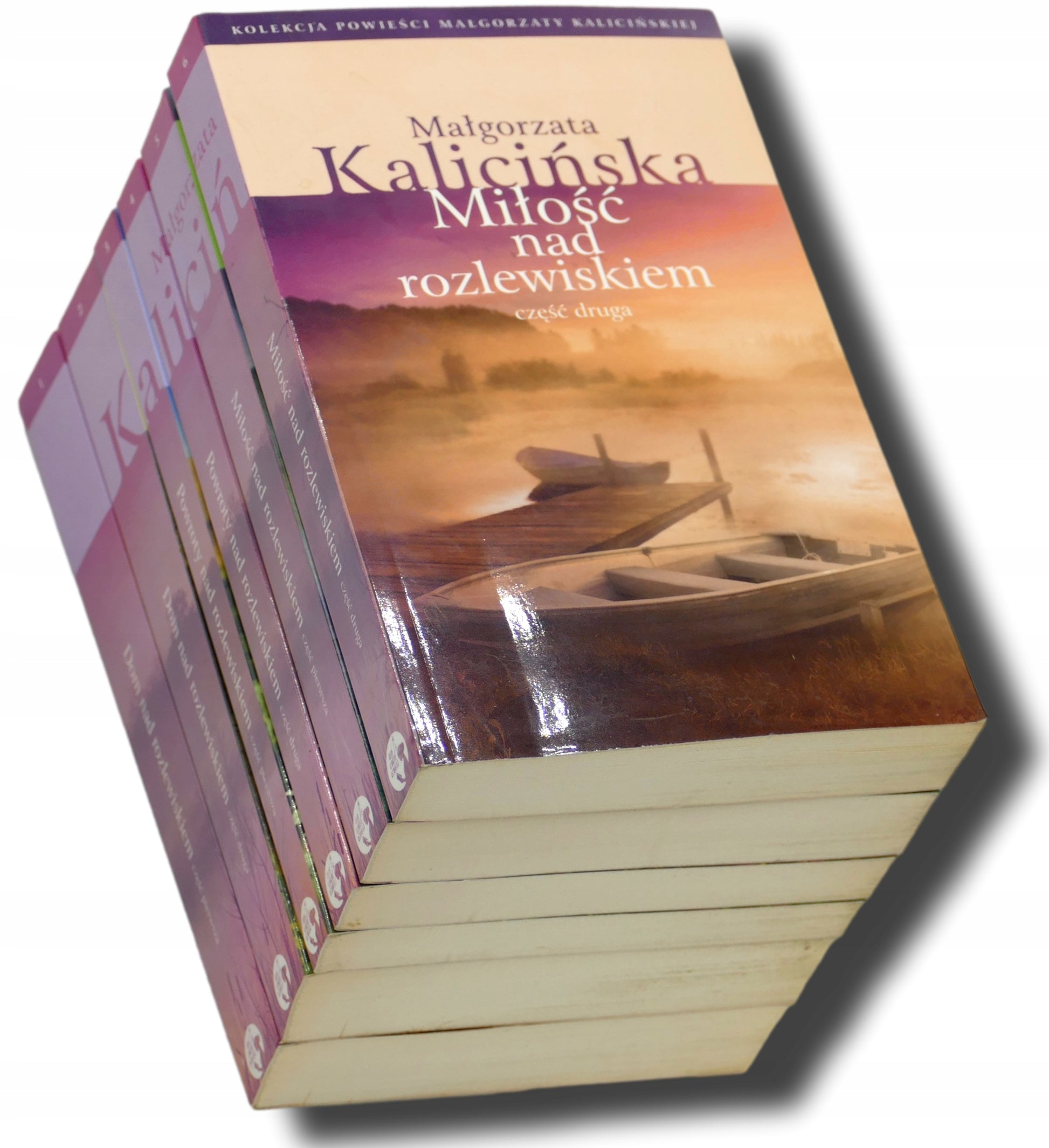 Małgorzata Kalicińska x6 Dom nad rozlewiskiem, Powroty nad rozlewiskiem