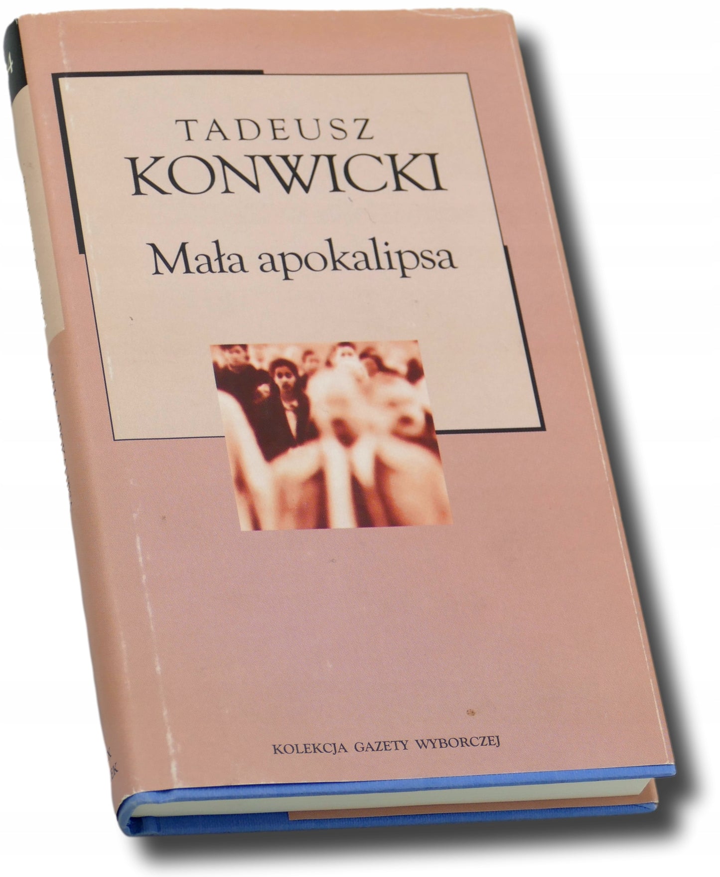 Mała apokalipsa, Tadeusz Konwicki