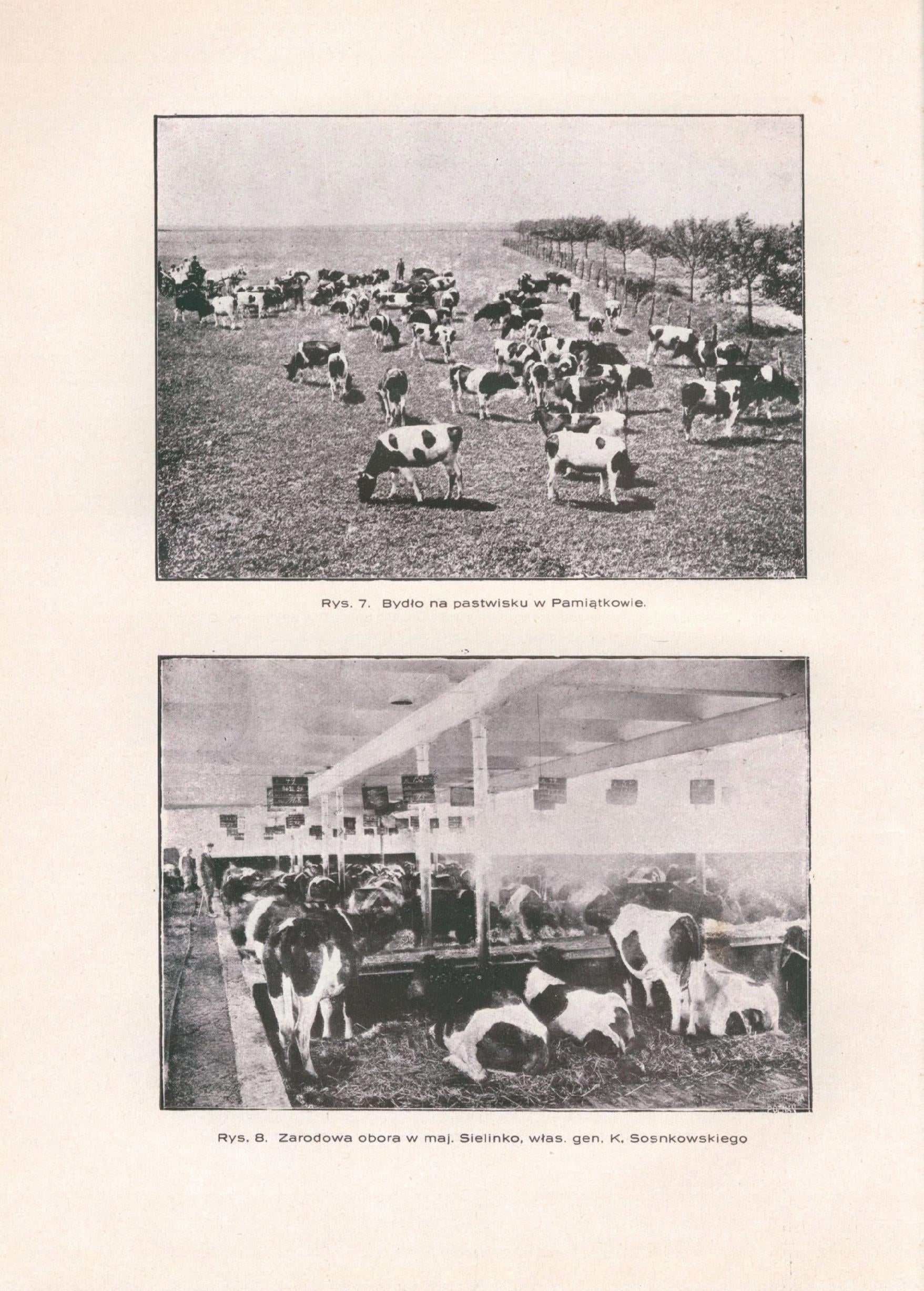 83ec278591cc071cf462dc557138528f