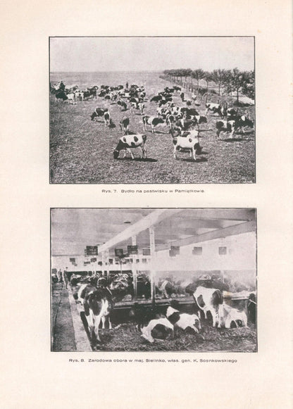 83ec278591cc071cf462dc557138528f