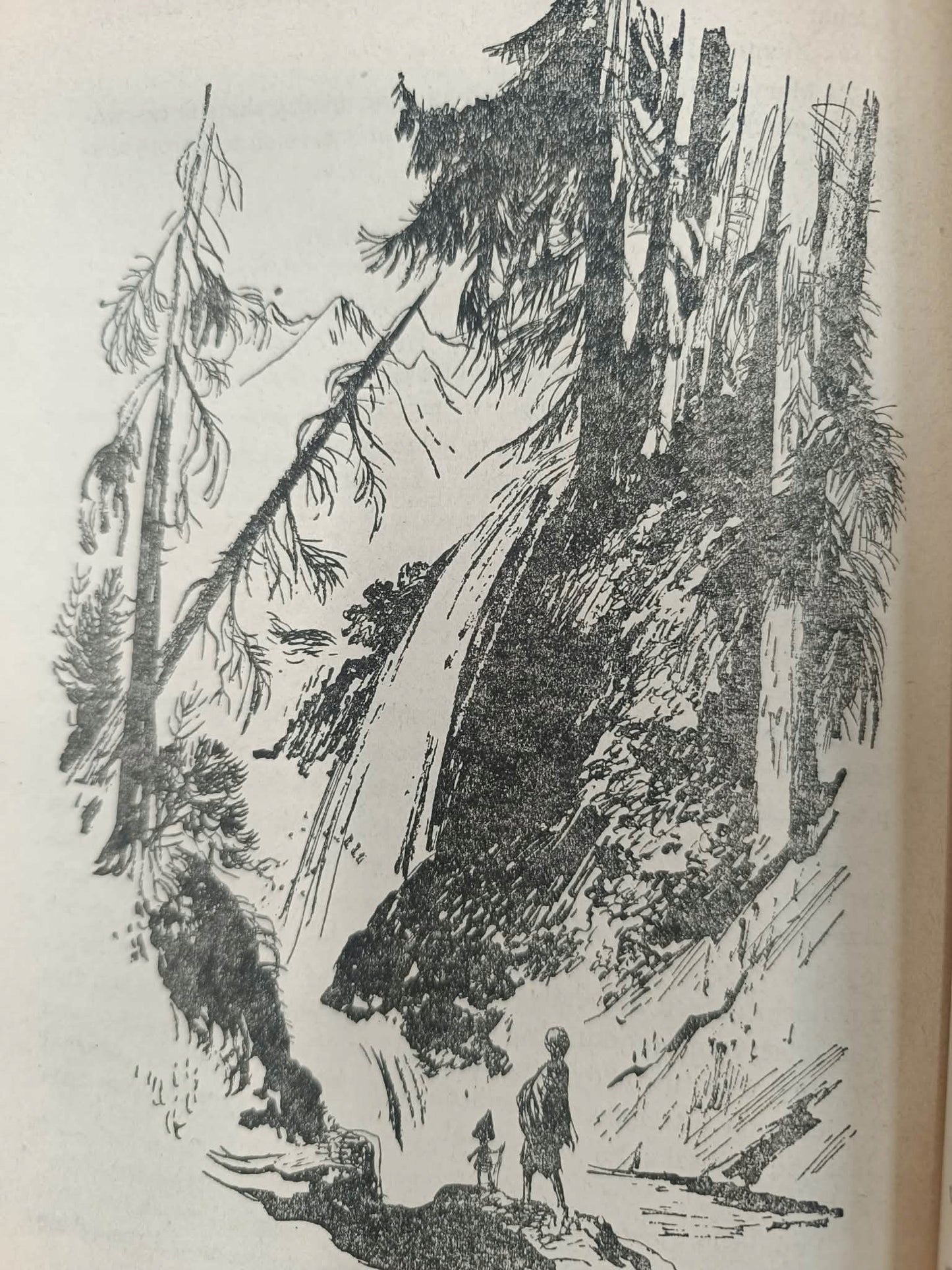 O krasnoludkach i o sierotce Marysi, Maria Konopnicka [ilustracje Szancer]