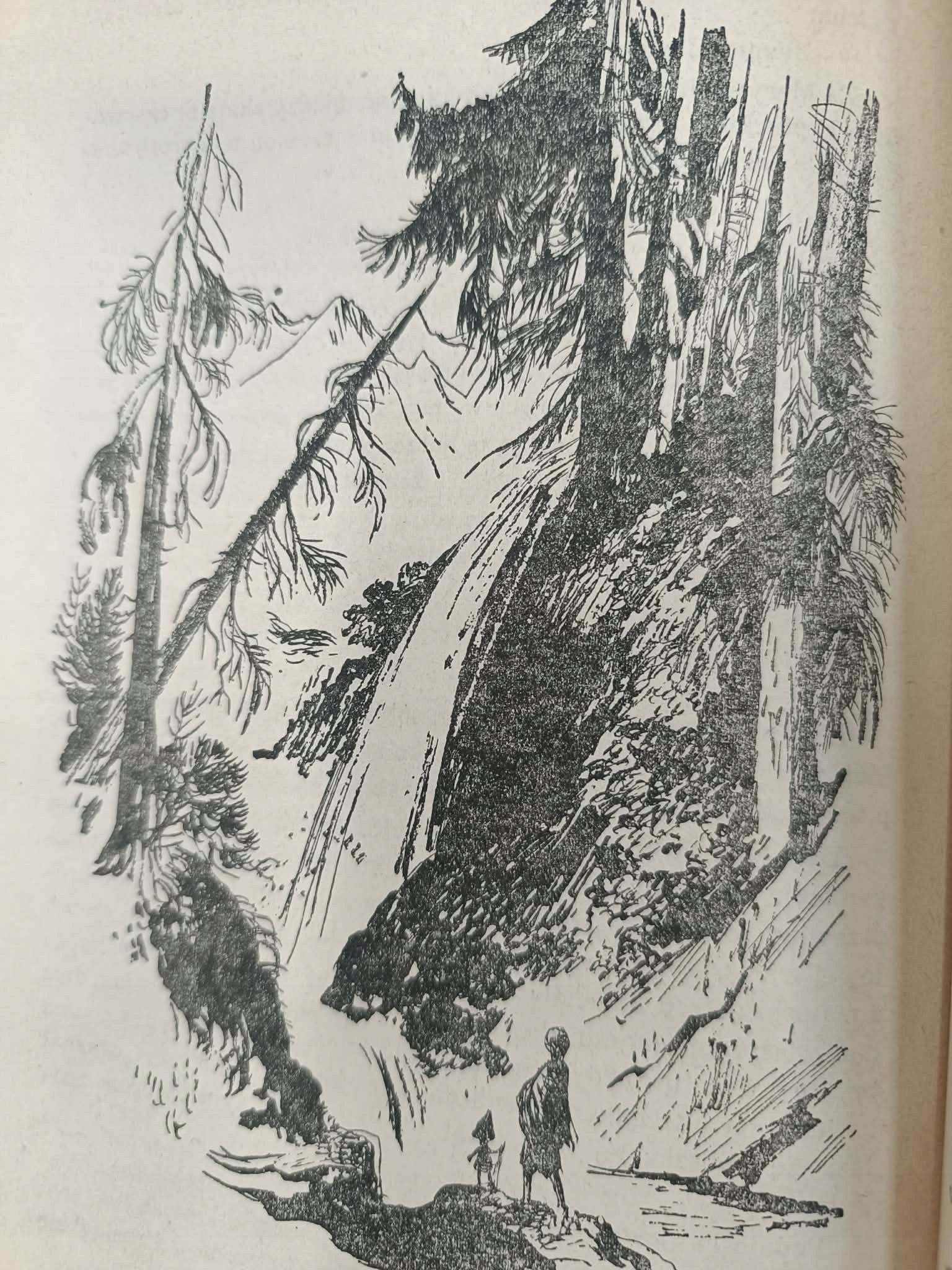 O krasnoludkach i o sierotce Marysi, Maria Konopnicka [ilustracje Szancer]
