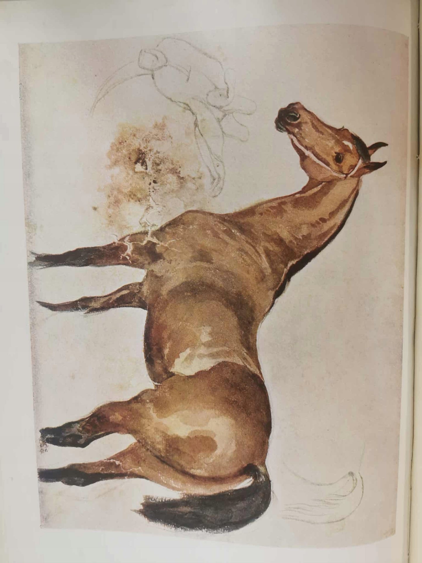 Juljusz Kossak przez Stanisława Witkiewicza [Warszawa 1900]