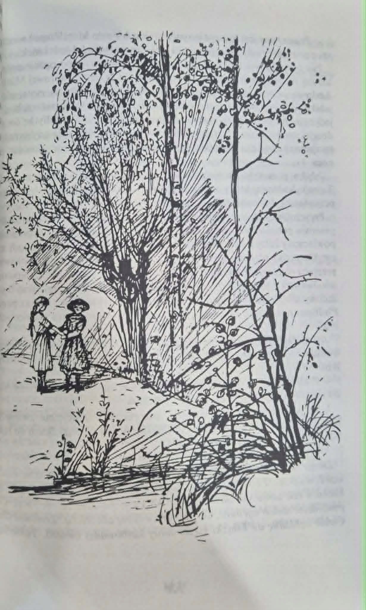 Zestaw 2 książki L. M. Montgomery [Ania z Zielonego Wzgórza, Pożegnanie...]