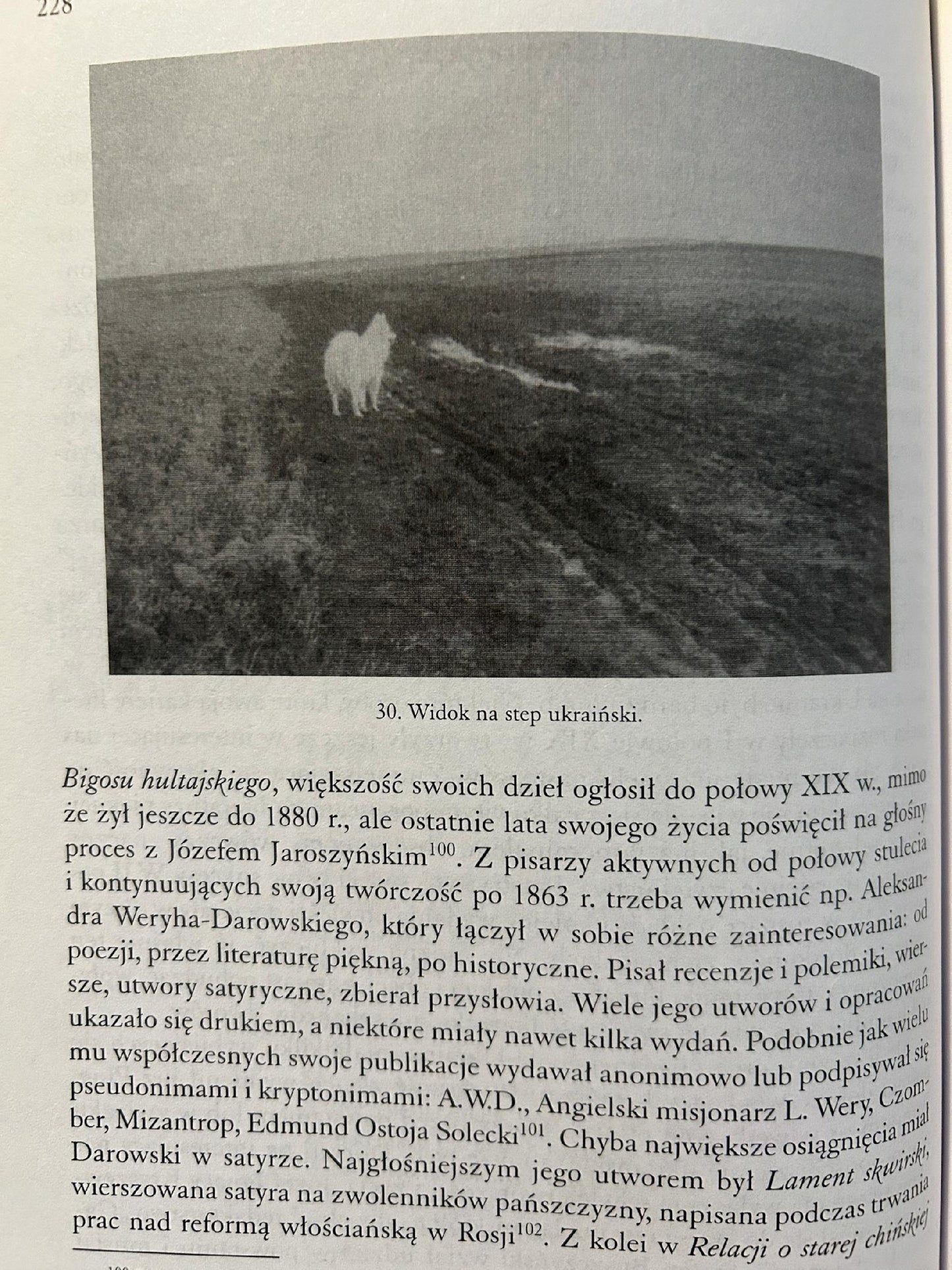 Z piórem i paletą. Zainteresowania intelektualne i art...- Tadeusz Epsztein