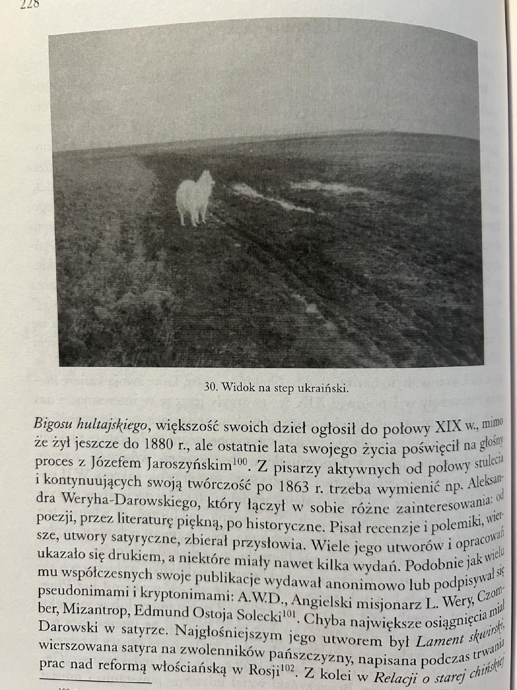 Z piórem i paletą. Zainteresowania intelektualne i art...- Tadeusz Epsztein