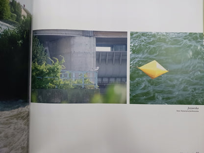 1a9338927778e8743706ed2fa334241b