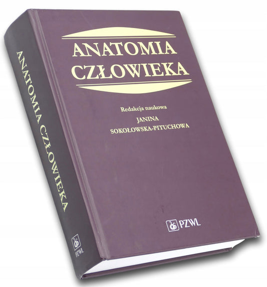 Janina Sokołowska Pituchowa Anatomia człowieka redakcja naukowa