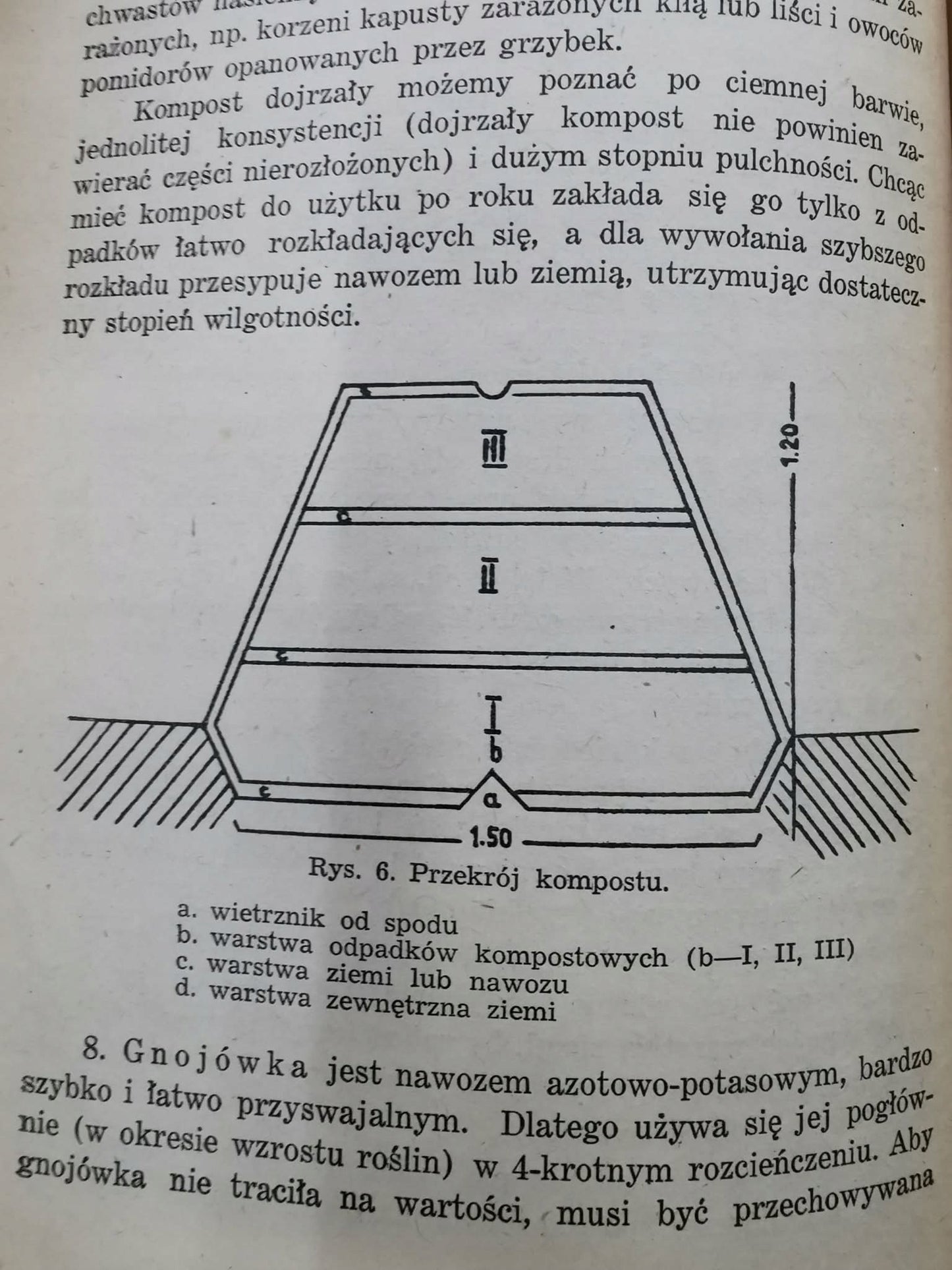 Ogródek Działkowy, inż. M. Kuropatwińska - Kalicka [1947]