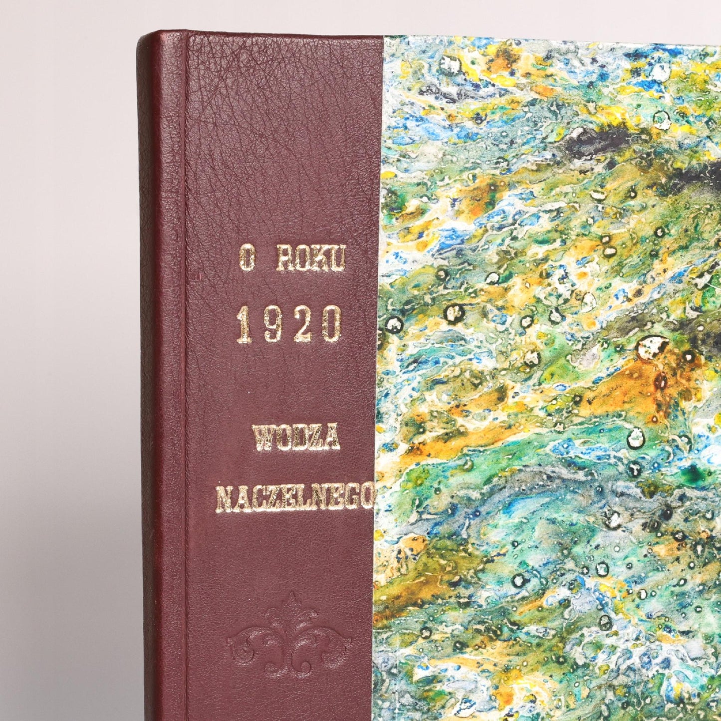 O roku 1920 Józefa Piłsudskiego wodza naczelnego [Bydgoszcz 2006]