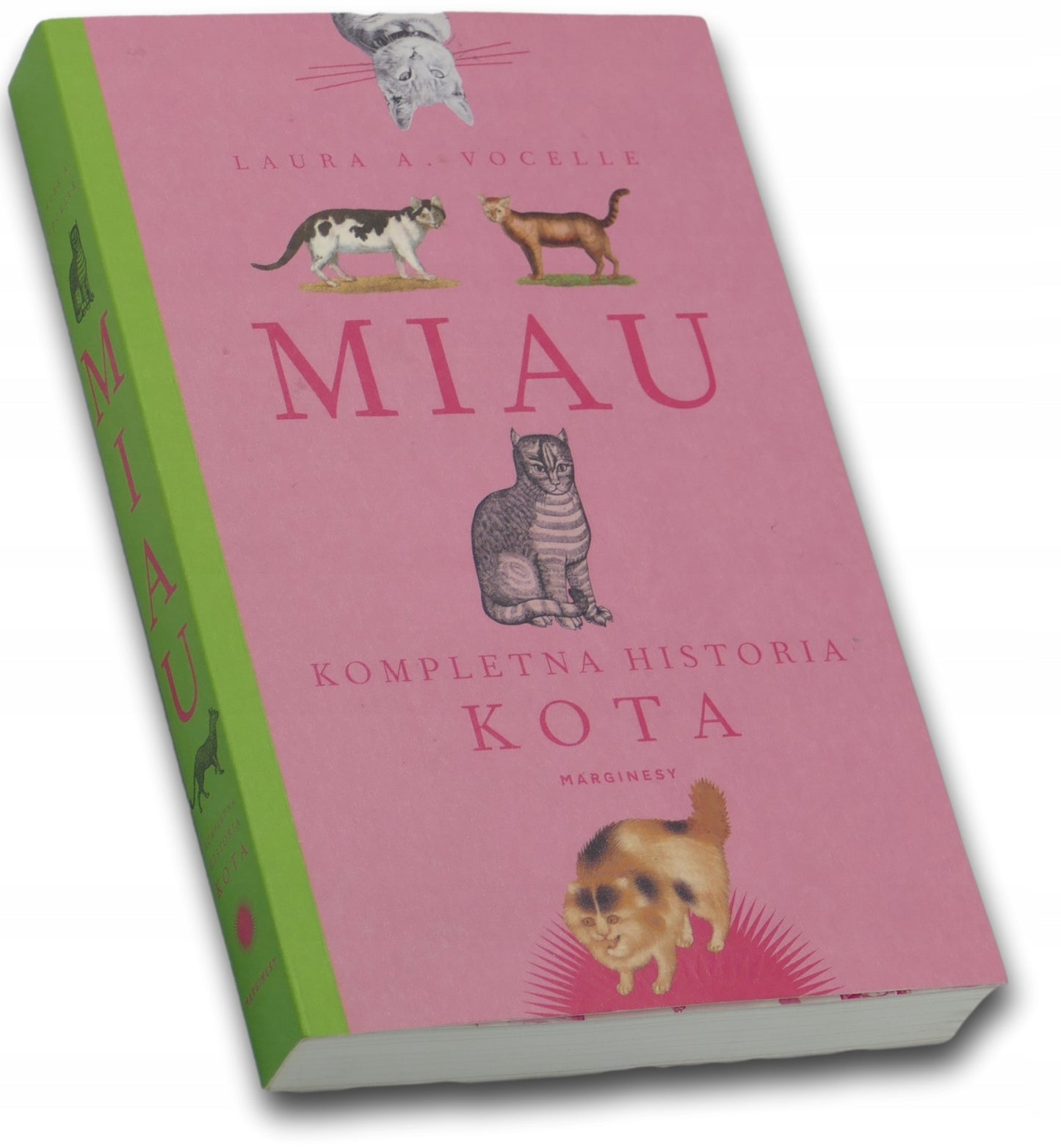 Miau. Kompletna historia kota - Laura A. Vocelle