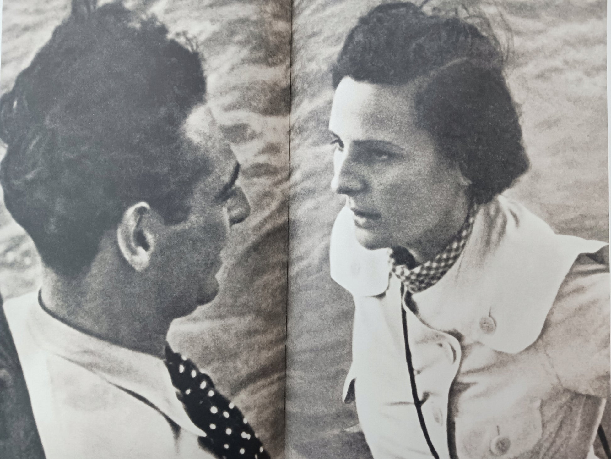 81543f15cbd17ca0a8f0e1c3339daddc