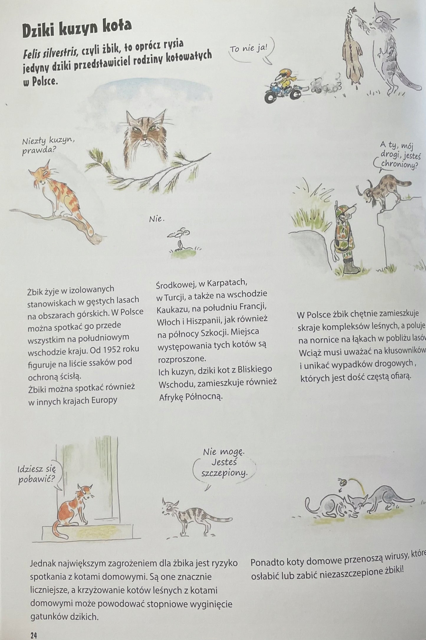 Wszystko o... kotach. Książka, która odkryje przed twoim dzieckiem fascy...