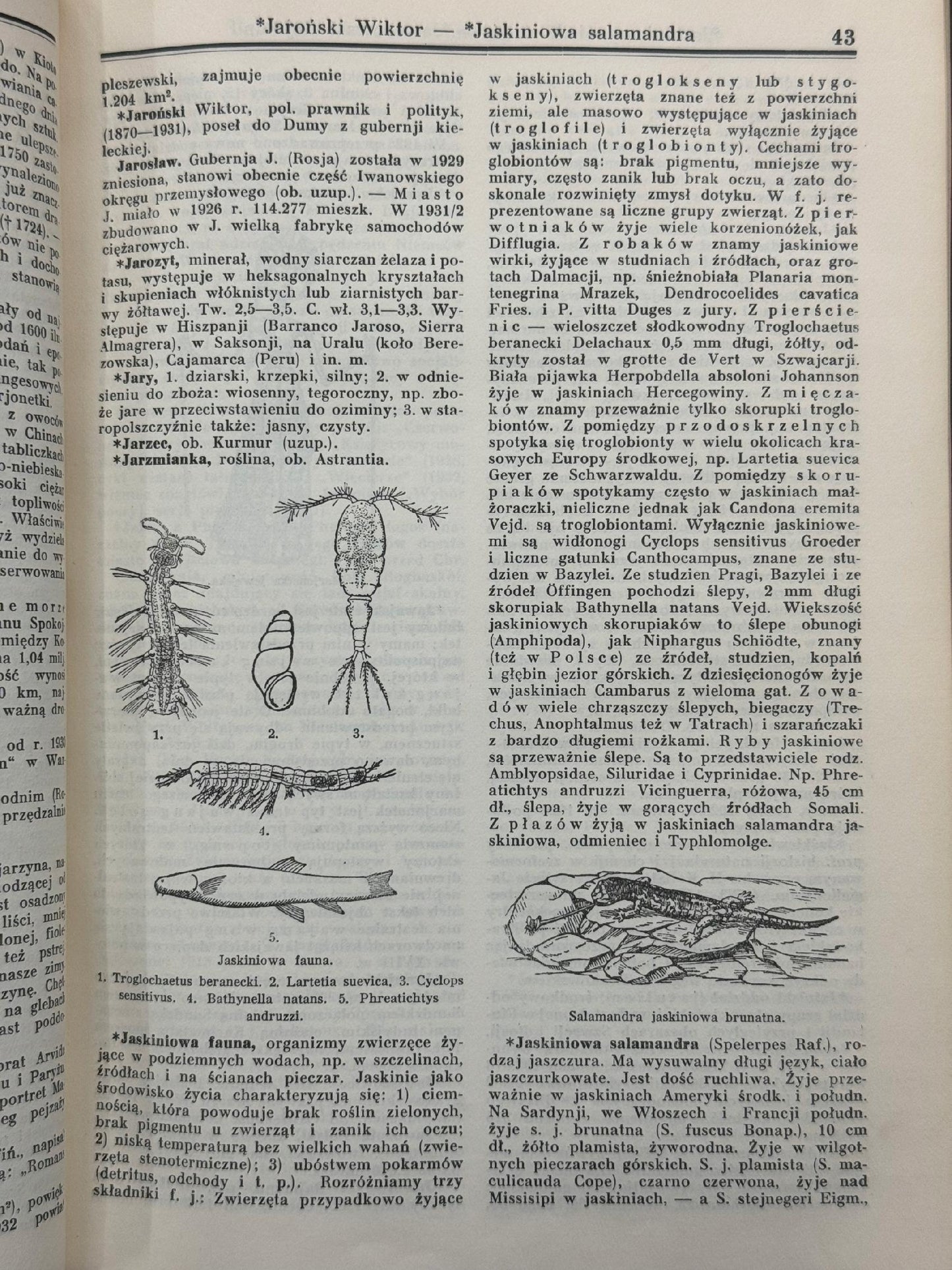 Encyklopedia Powszechna Wydawnictwa Gutenberga Tomy 1-20