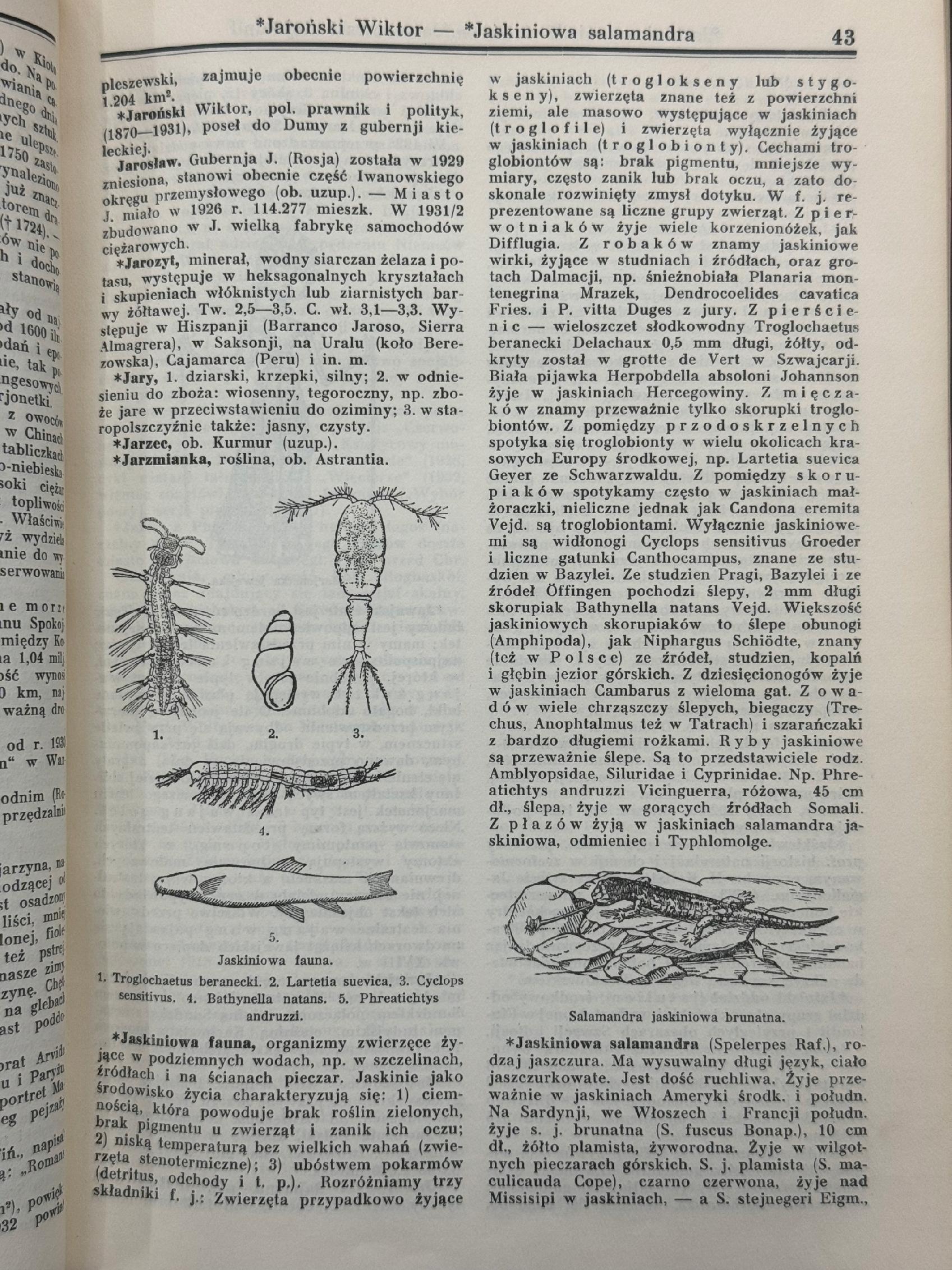 Encyklopedia Powszechna Wydawnictwa Gutenberga Tomy 1-20