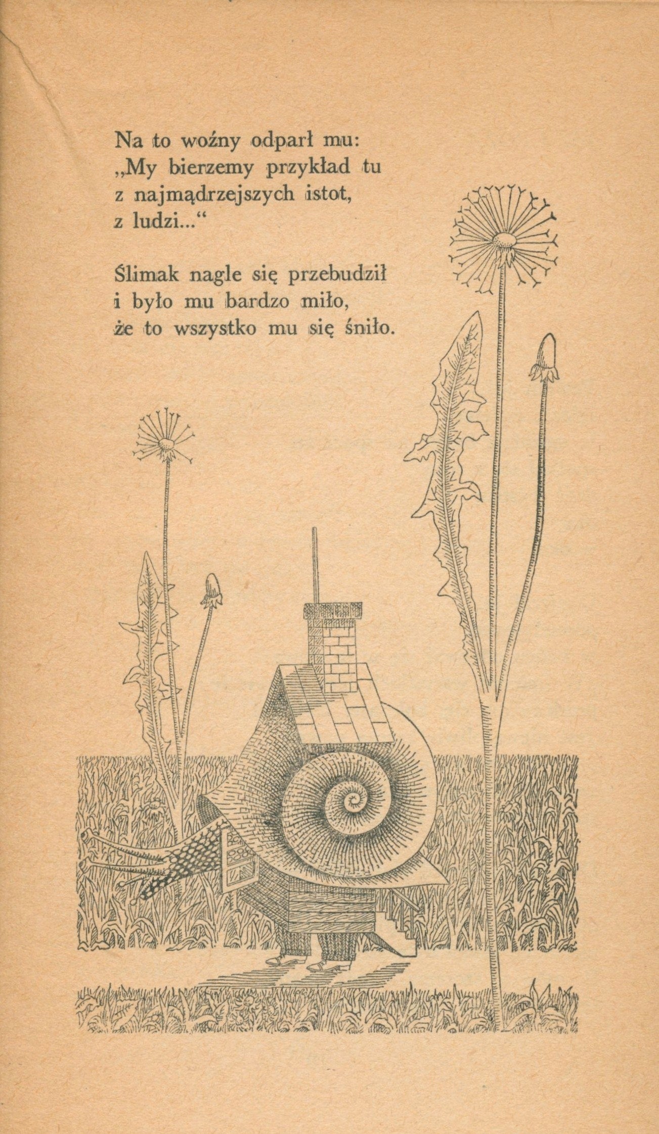 Do widzenia zwierzęta!, J. L. Kern [ilustrował Daniel Mróz]