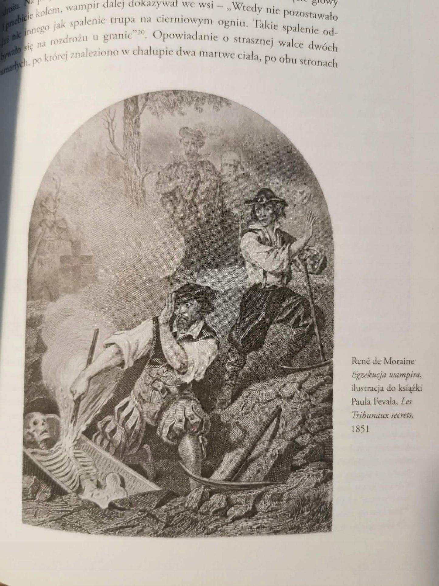 Wampir. Biografia symboliczna, Maria Janion