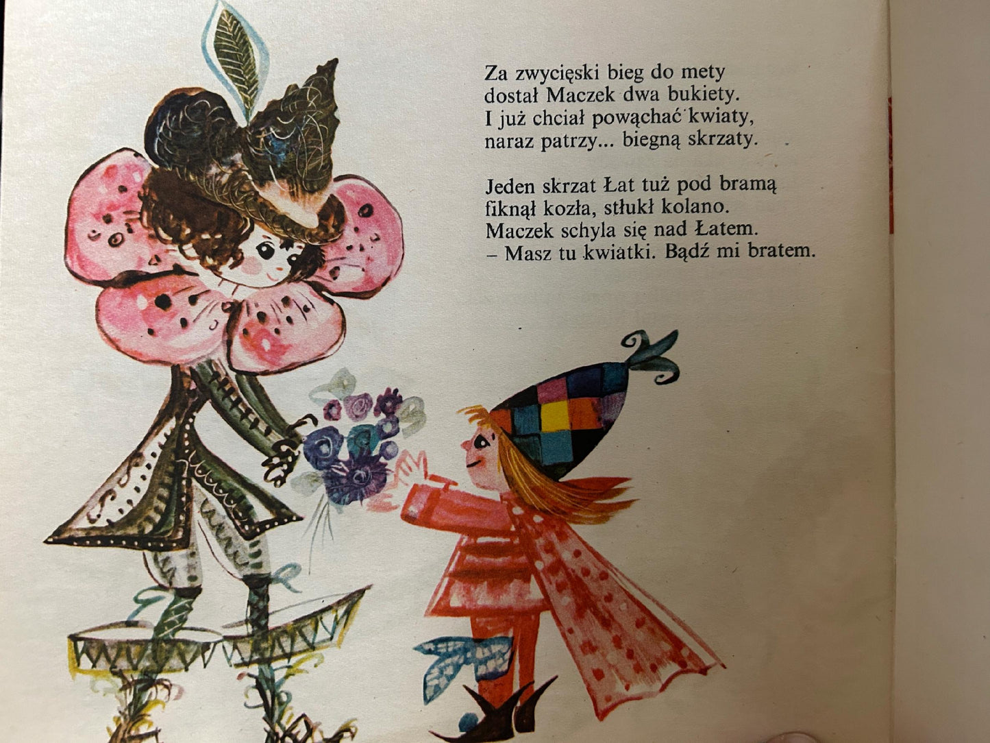 Maczek przyjaciel Łatka - Anna Przemyska [podpis ilustratorki, I wydanie]