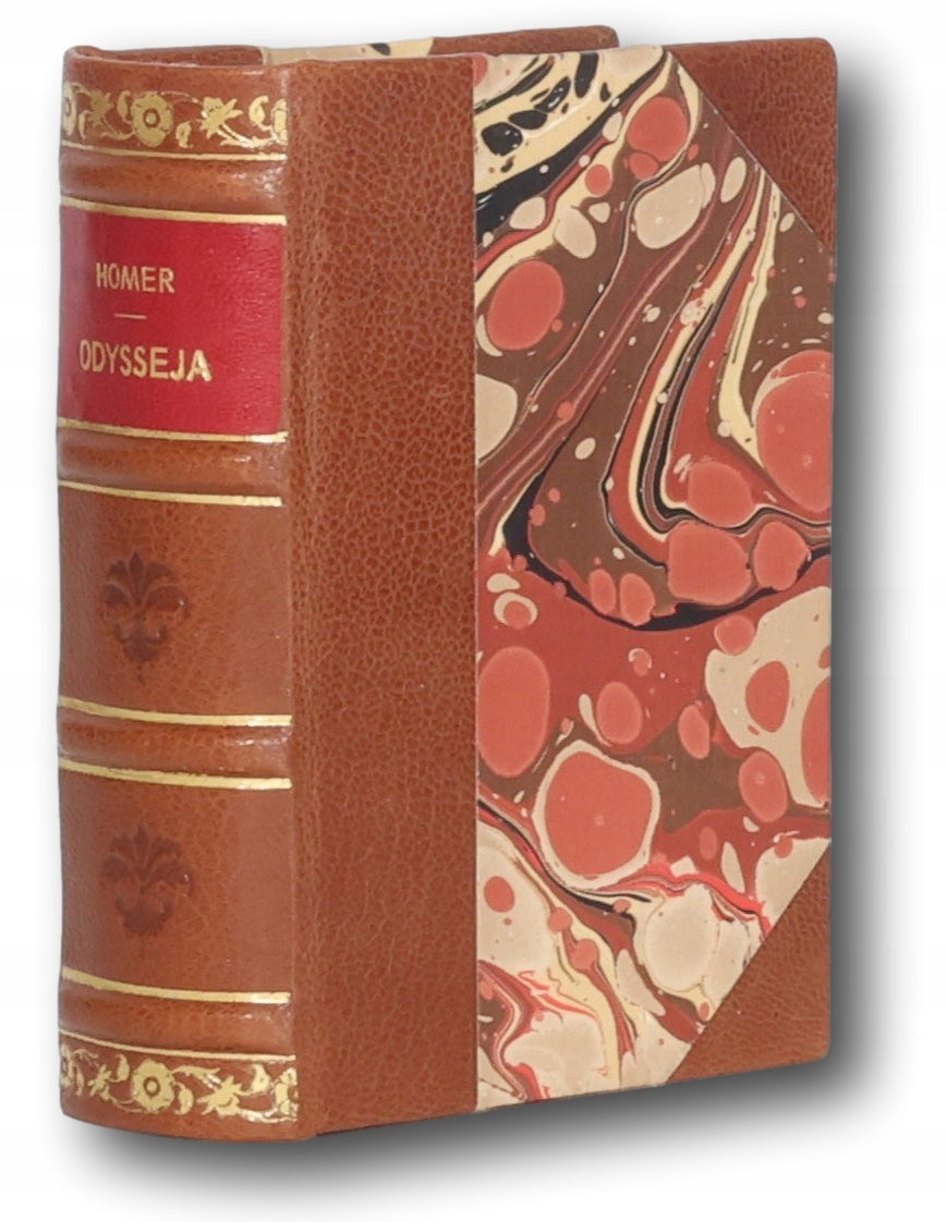 Odysseja, Homer [przekład L. Siemieńskiego, Warszawa 1903]