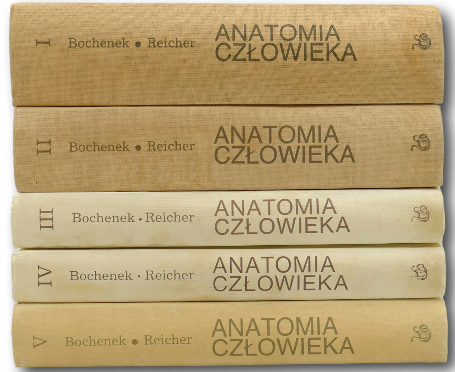 Komplet 5 tomów Anatomia człowieka Adam Bochenek Michał Reicher