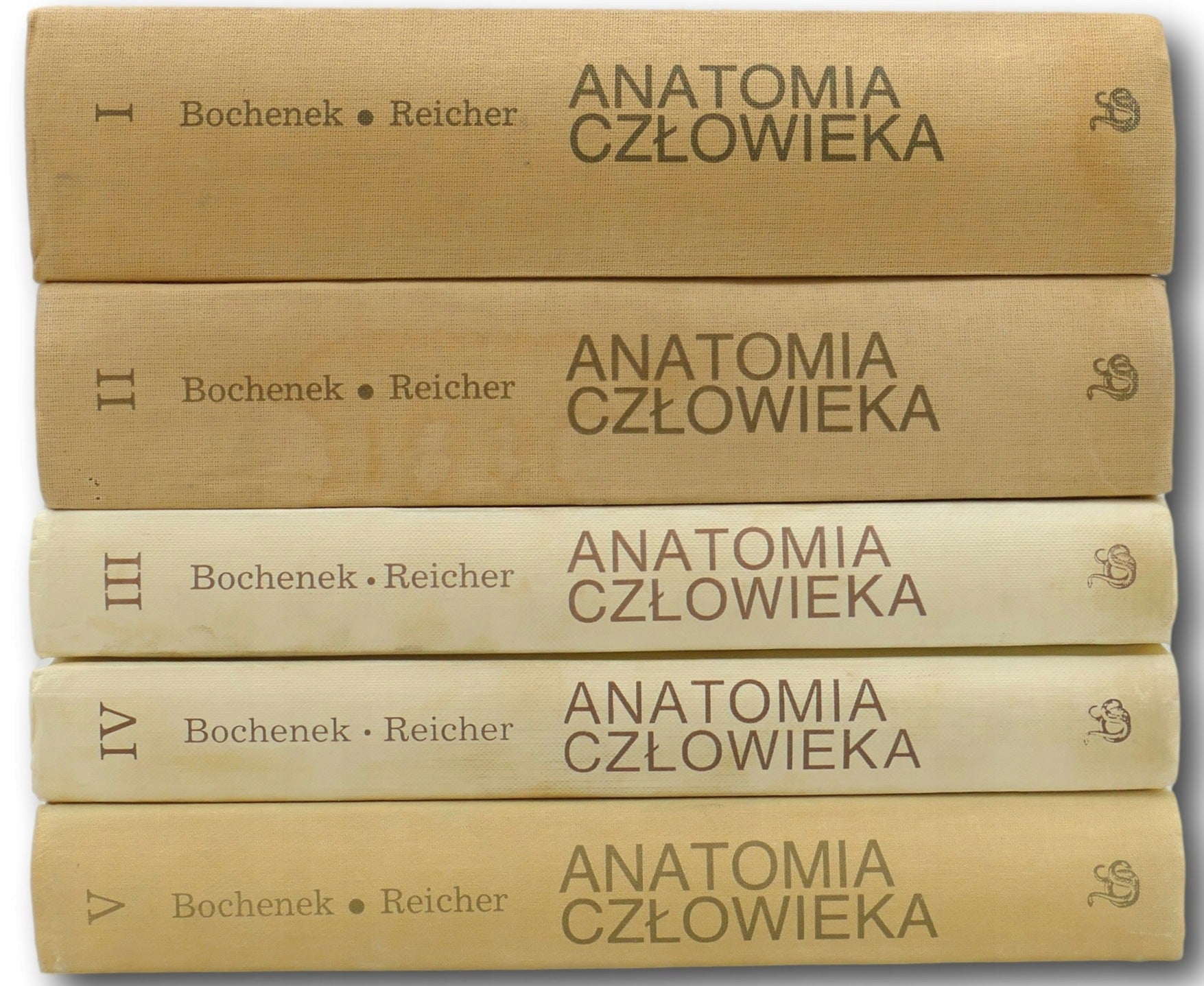 Komplet 5 tomów Anatomia człowieka Adam Bochenek Michał Reicher