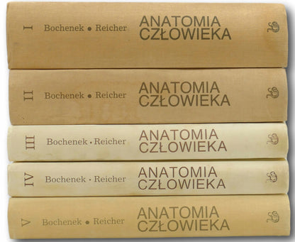 Komplet 5 tomów Anatomia człowieka Adam Bochenek Michał Reicher
