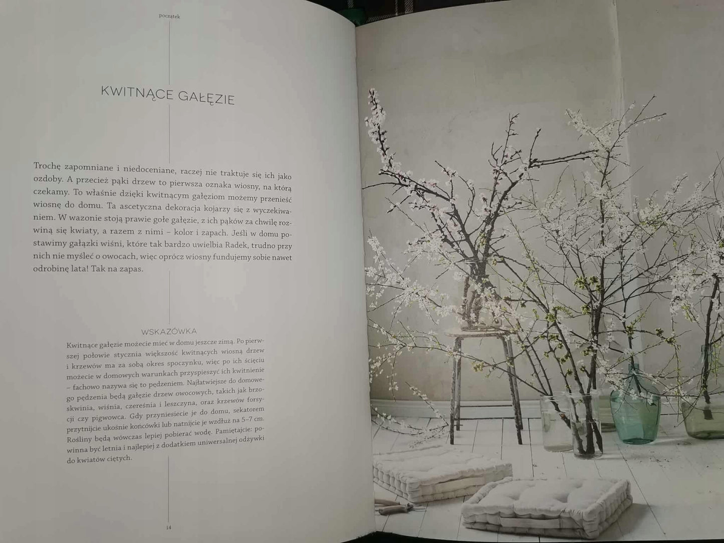 f5bc27b9ca074e48fe7f17b16fd9ce69