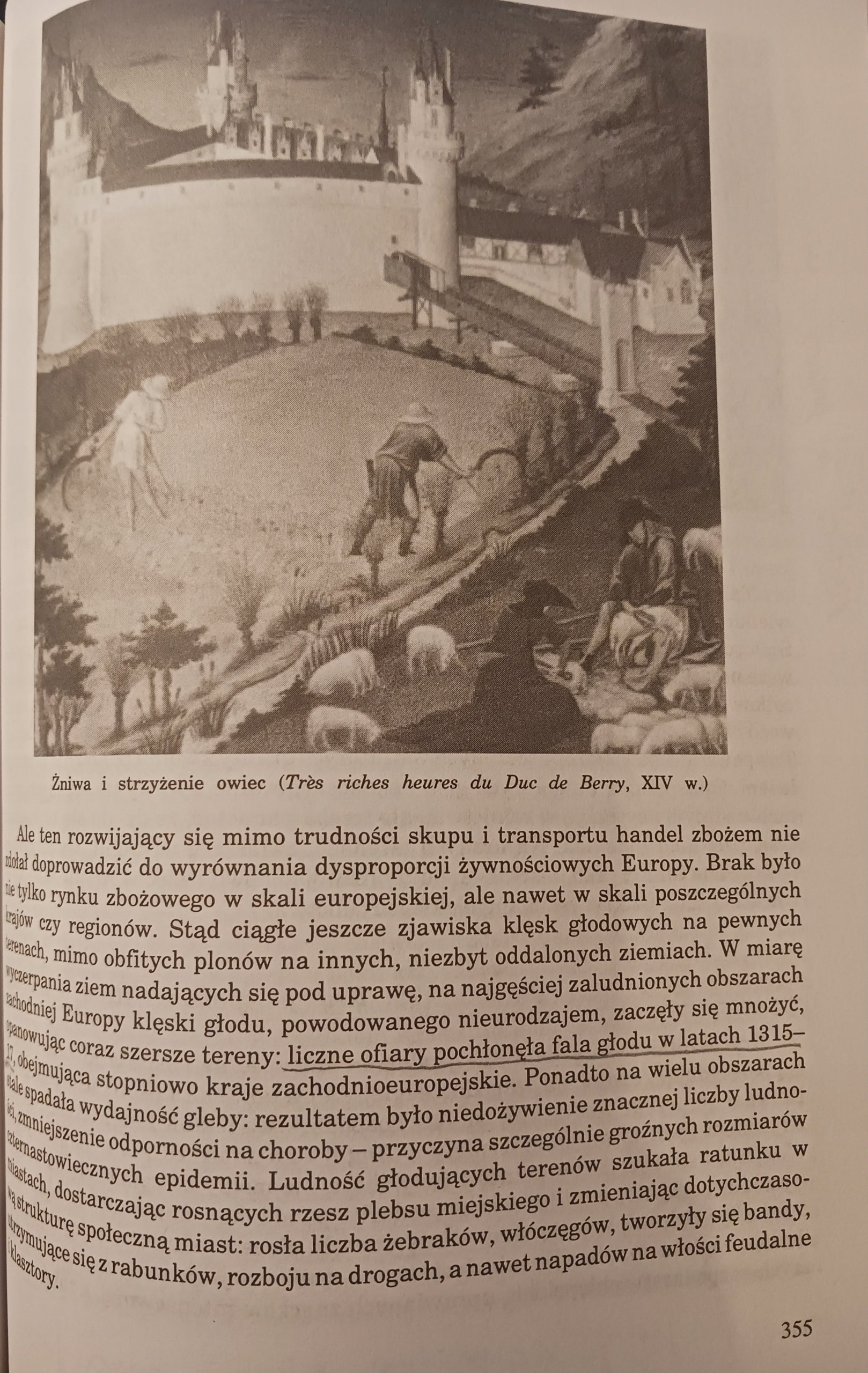 Historia powszechna średniowiecza Benedykt Zientara