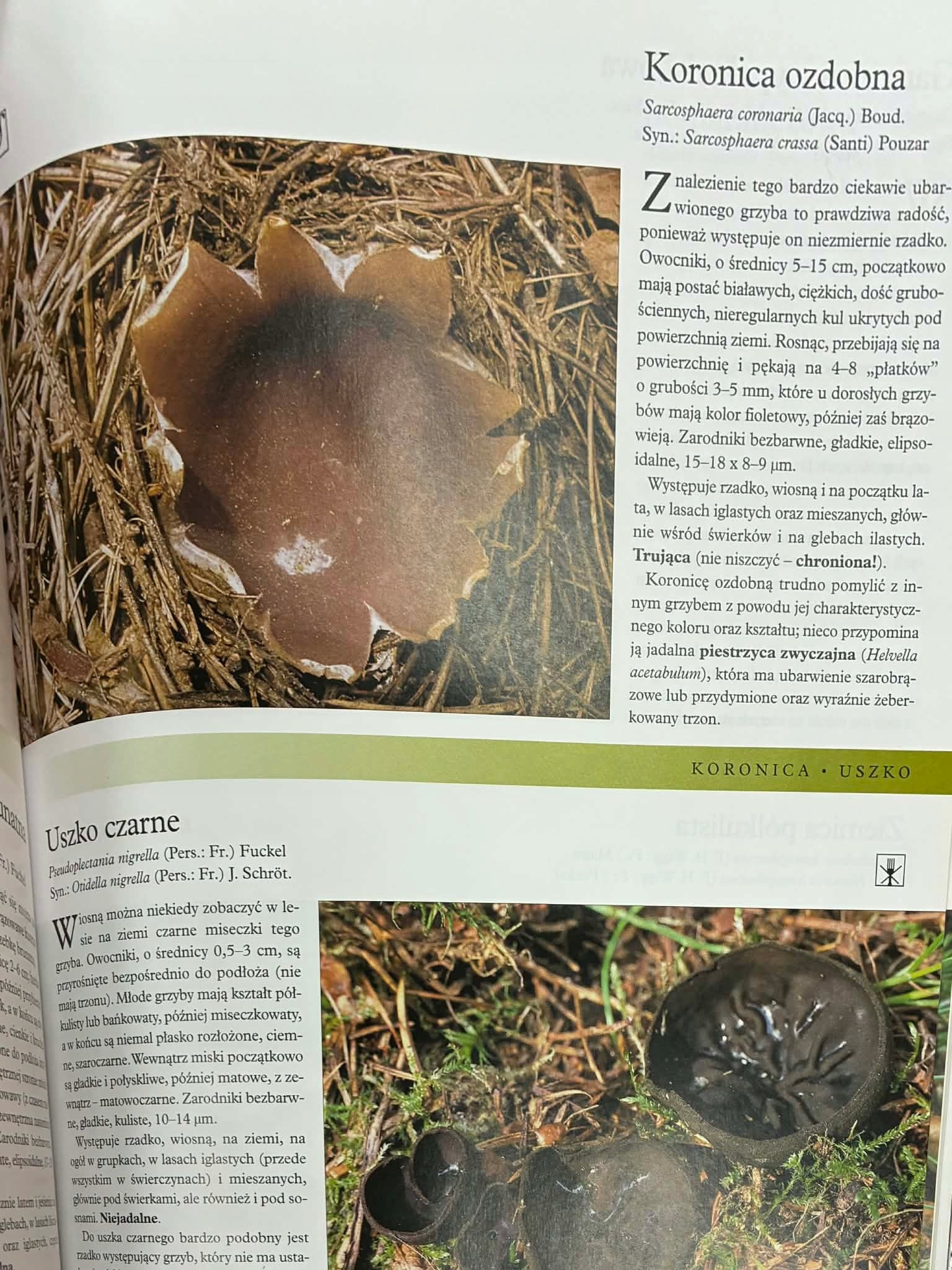 Grzyby ilustrowana encyklopedia, Vladimír Antonín