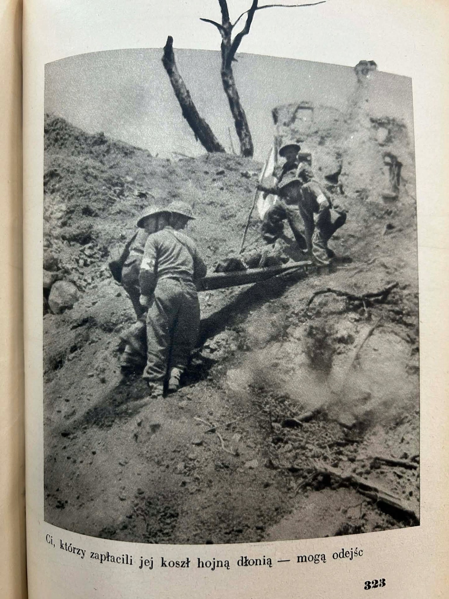 15ffc010da2b021f00c1176ddeddb01e