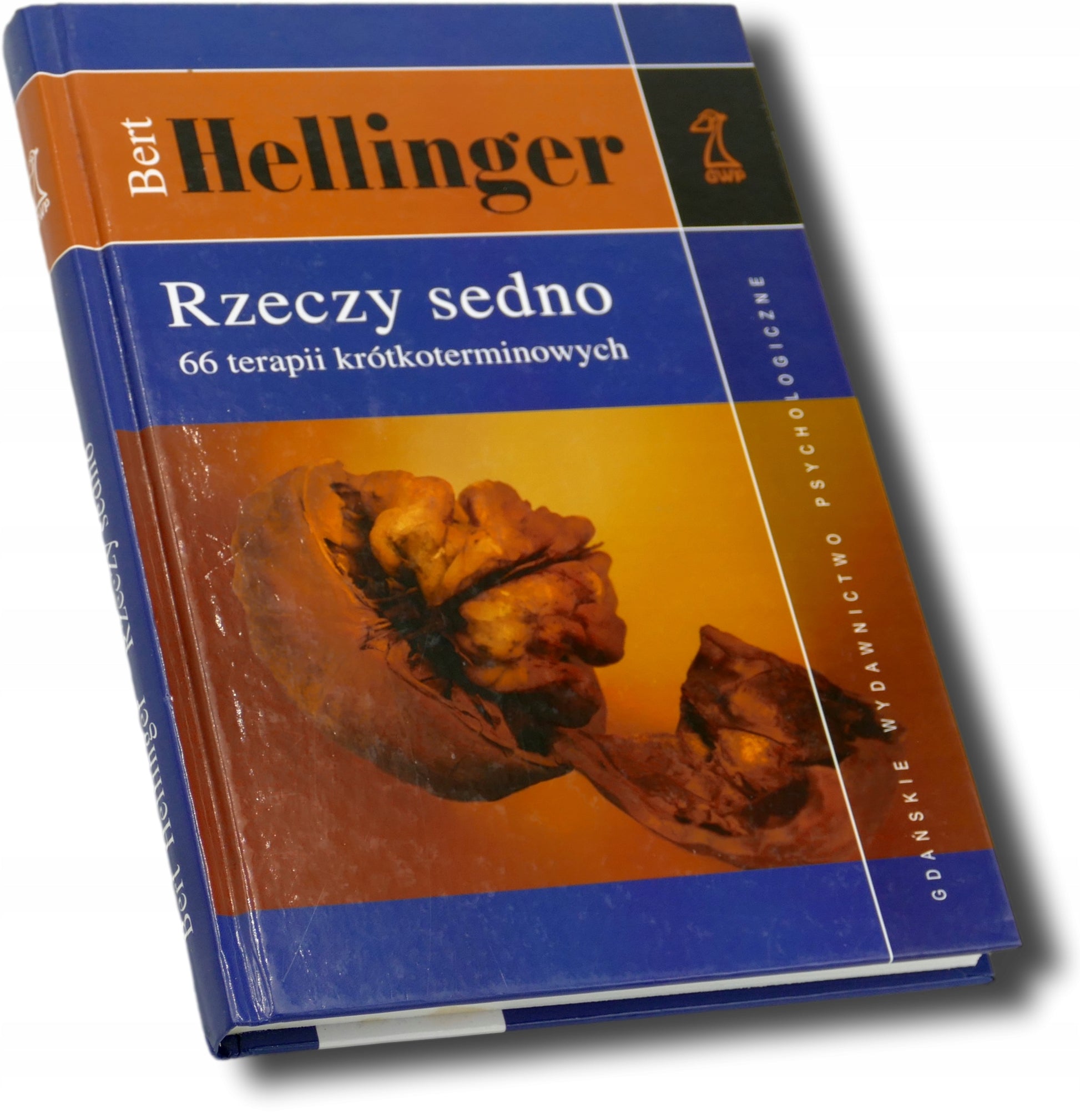 Rzeczy sedno. 66 terapii krótkoterminowych - Bert Hellinger