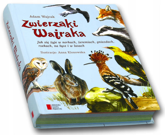 af35ebc005c46dadea9f0ec47f553926