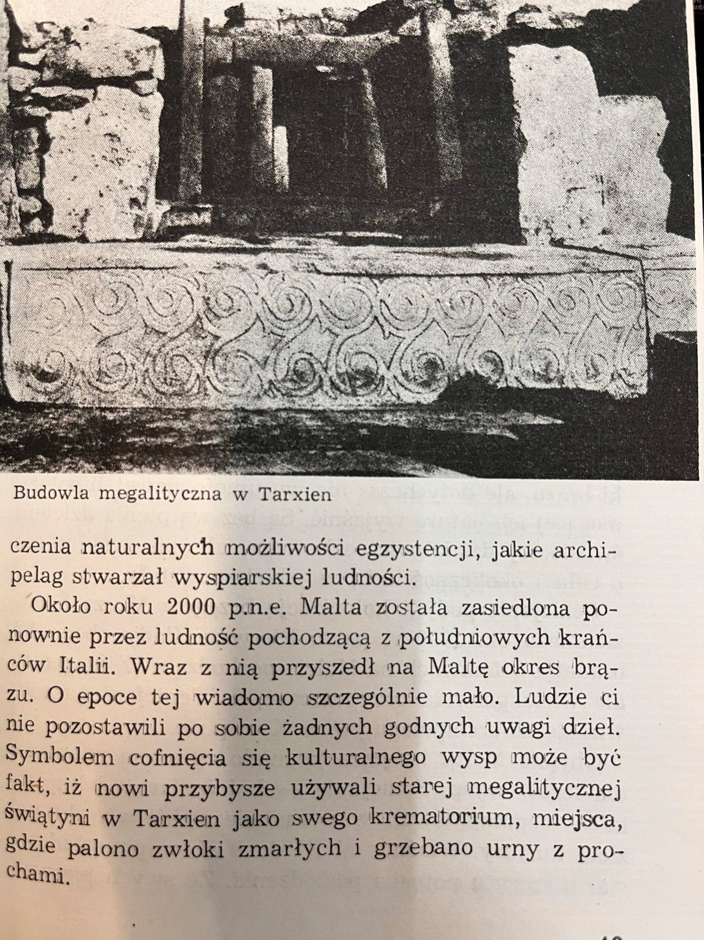 Dzieje Malty - Tomasz Wituch