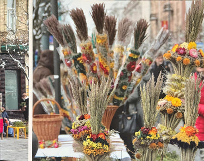 c8a95afa6e4b7e9fe166f2ff4b81c791