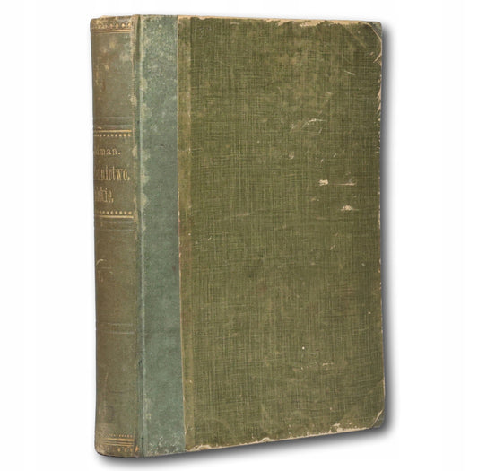 Piśmiennictwo polskie 1880-1904 Wilhelm Feldman [okładka S. Wyspiańskiego]