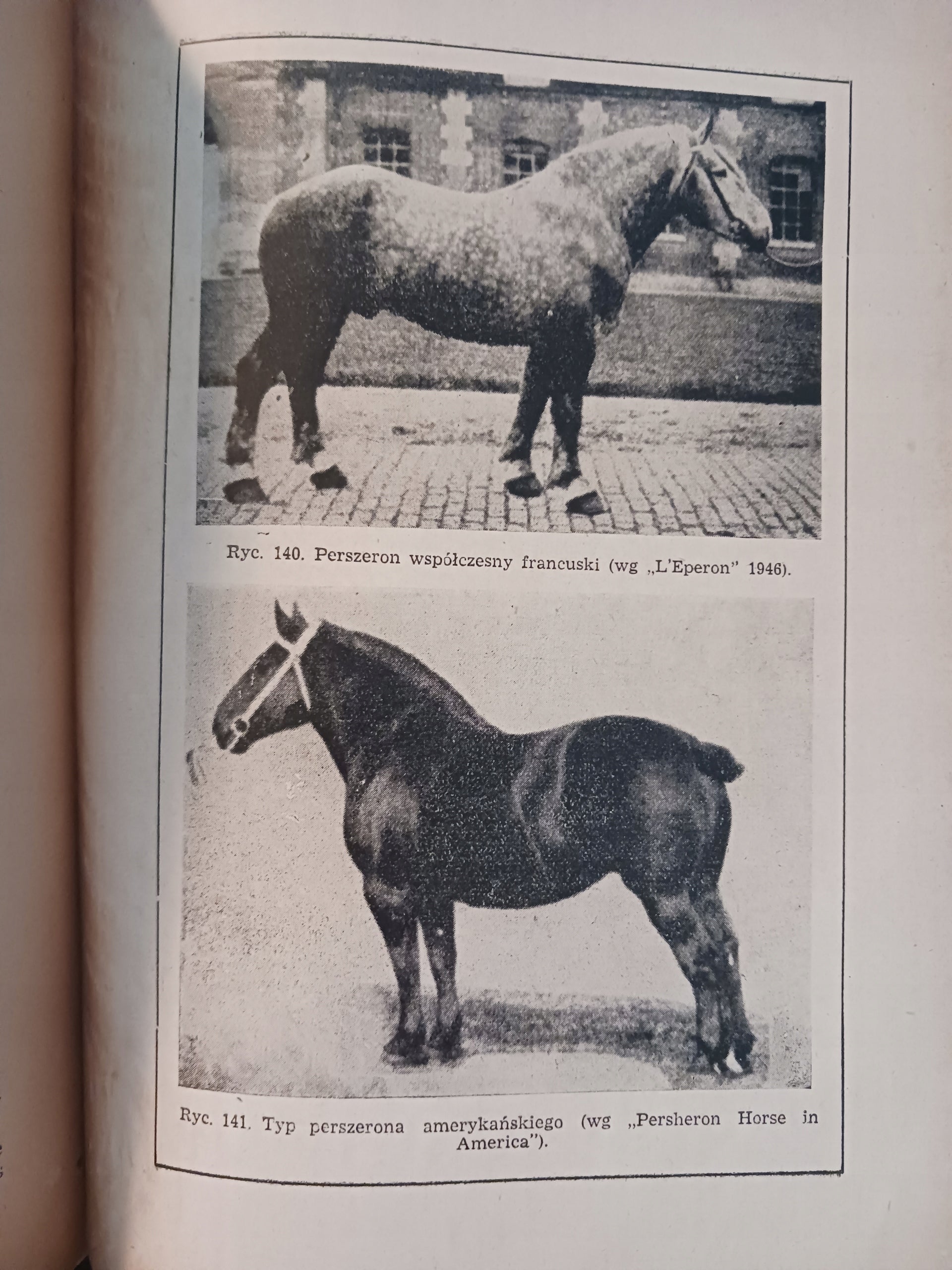 Hodowla koni Tomy I - II Roman Prawocheński [wydania z lat 1947, 1948]