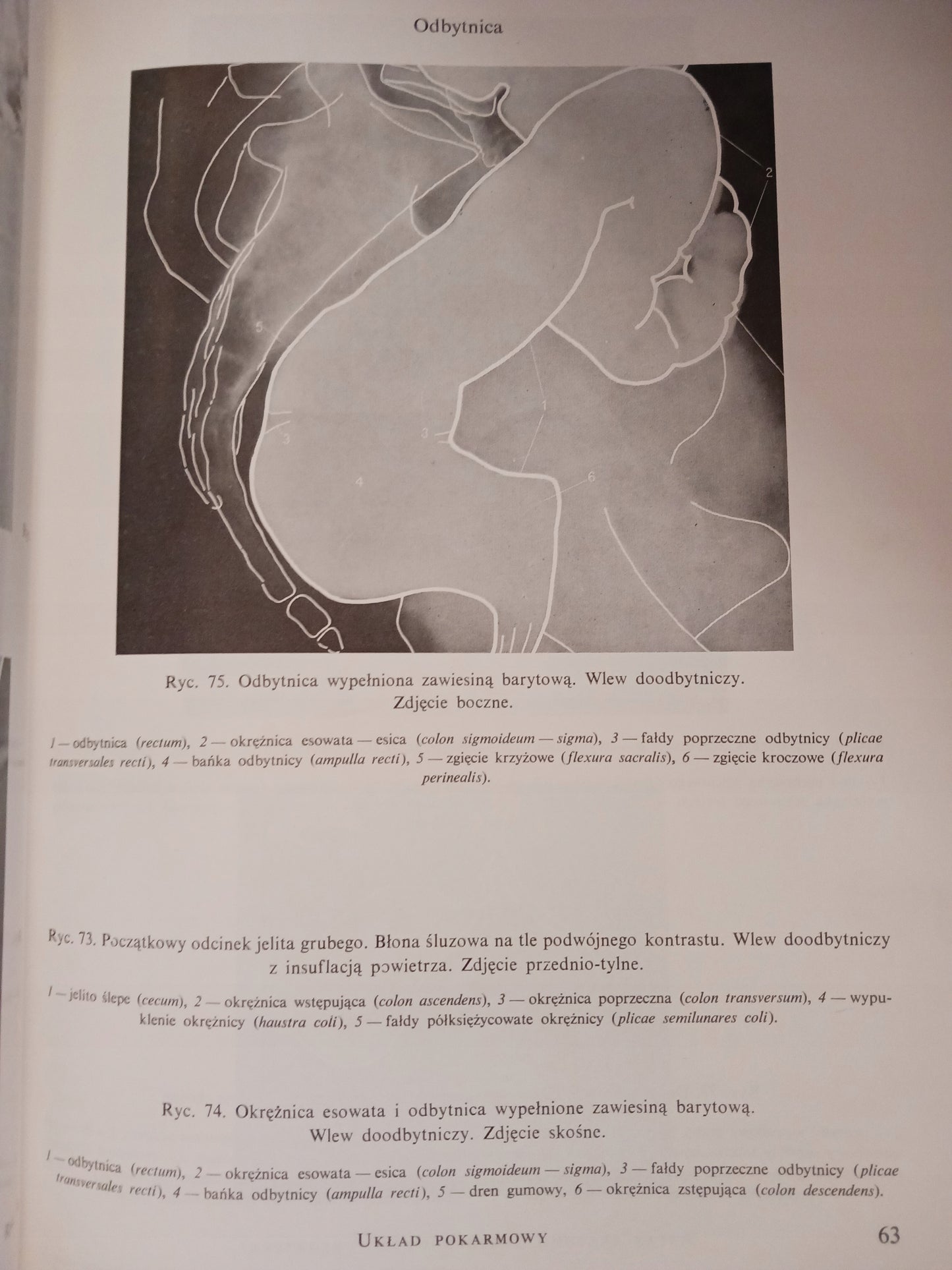 Atlas anatomii rentgenowskiej człowieka Bohdan Daniel + Atlas chorób...