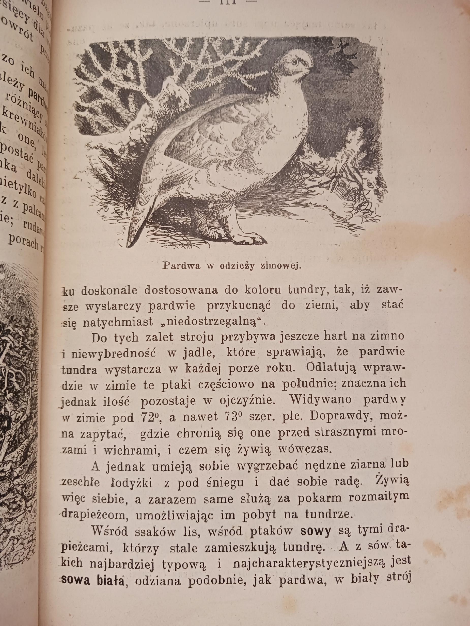 Zwierzęta lądowe i morskie B. Dyakowski [przedwojenna biologia, wyd. 1907r]