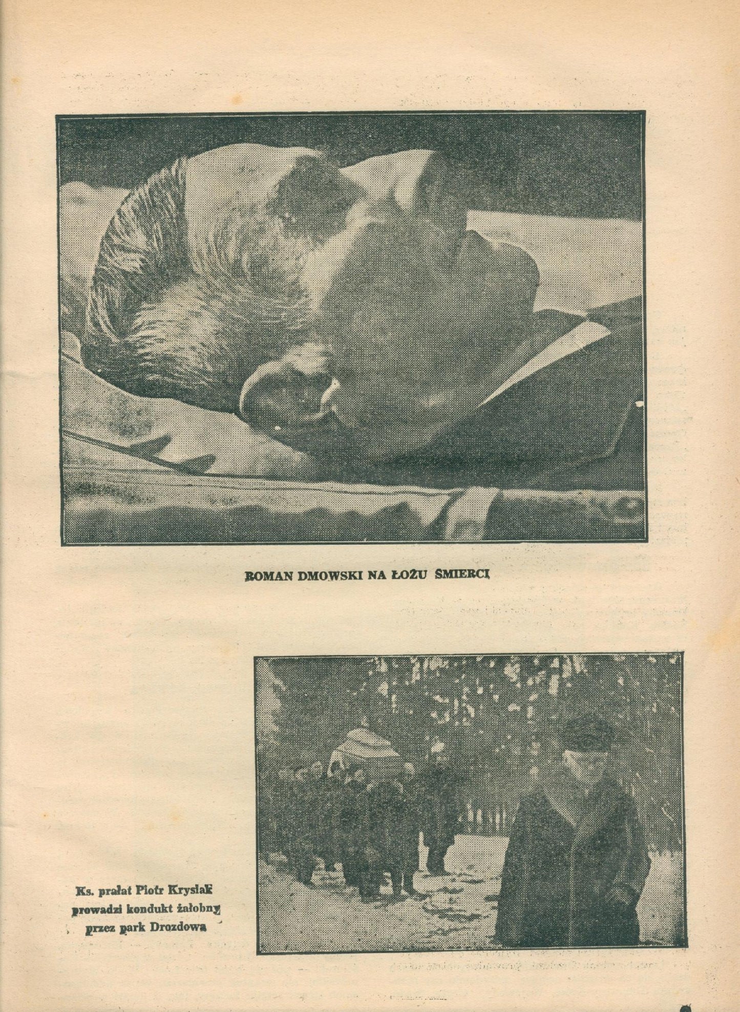 Pamięci Romana Dmowskiego [1939]